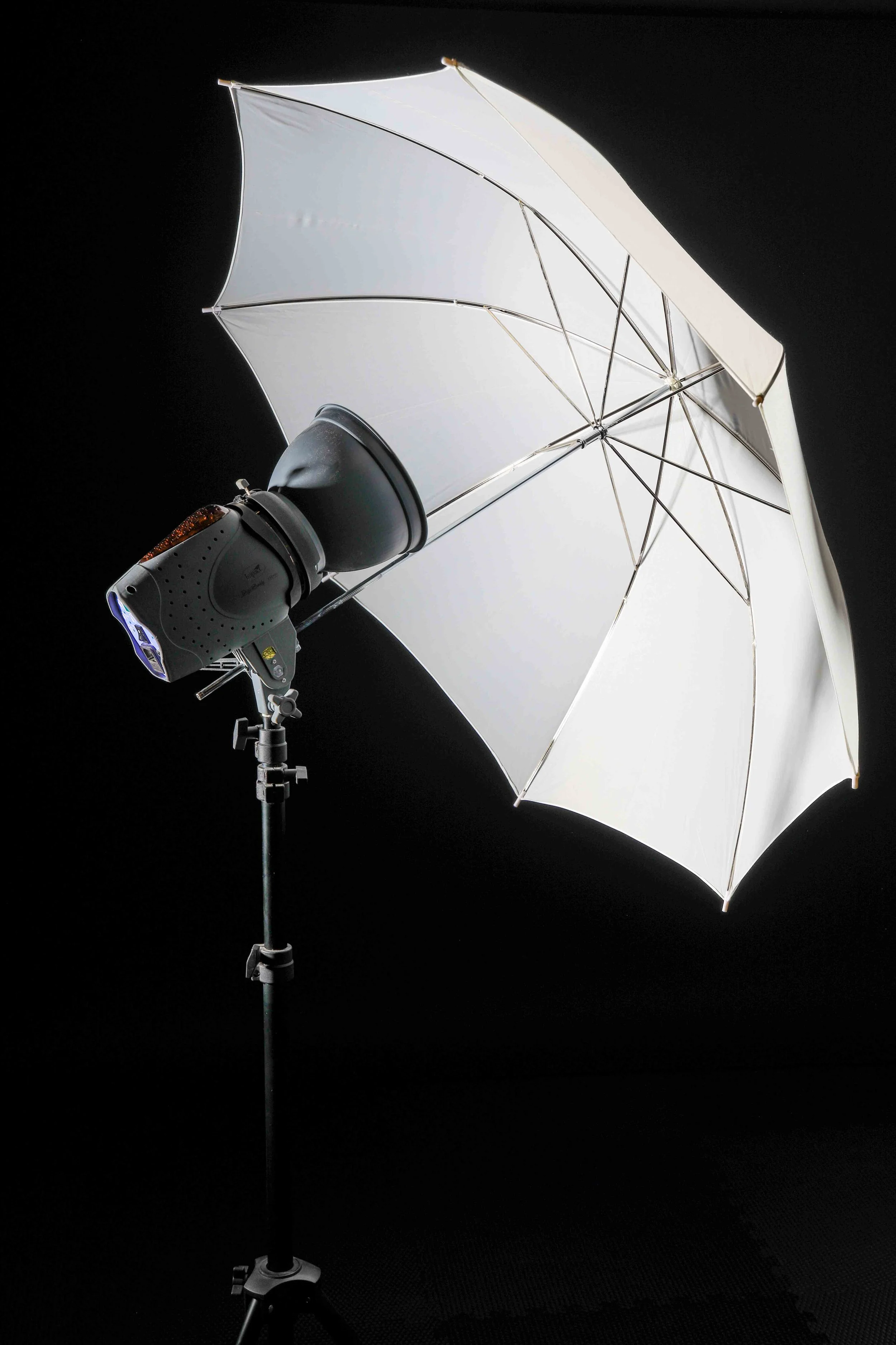 The Challenge of Getting Established as a Photographer