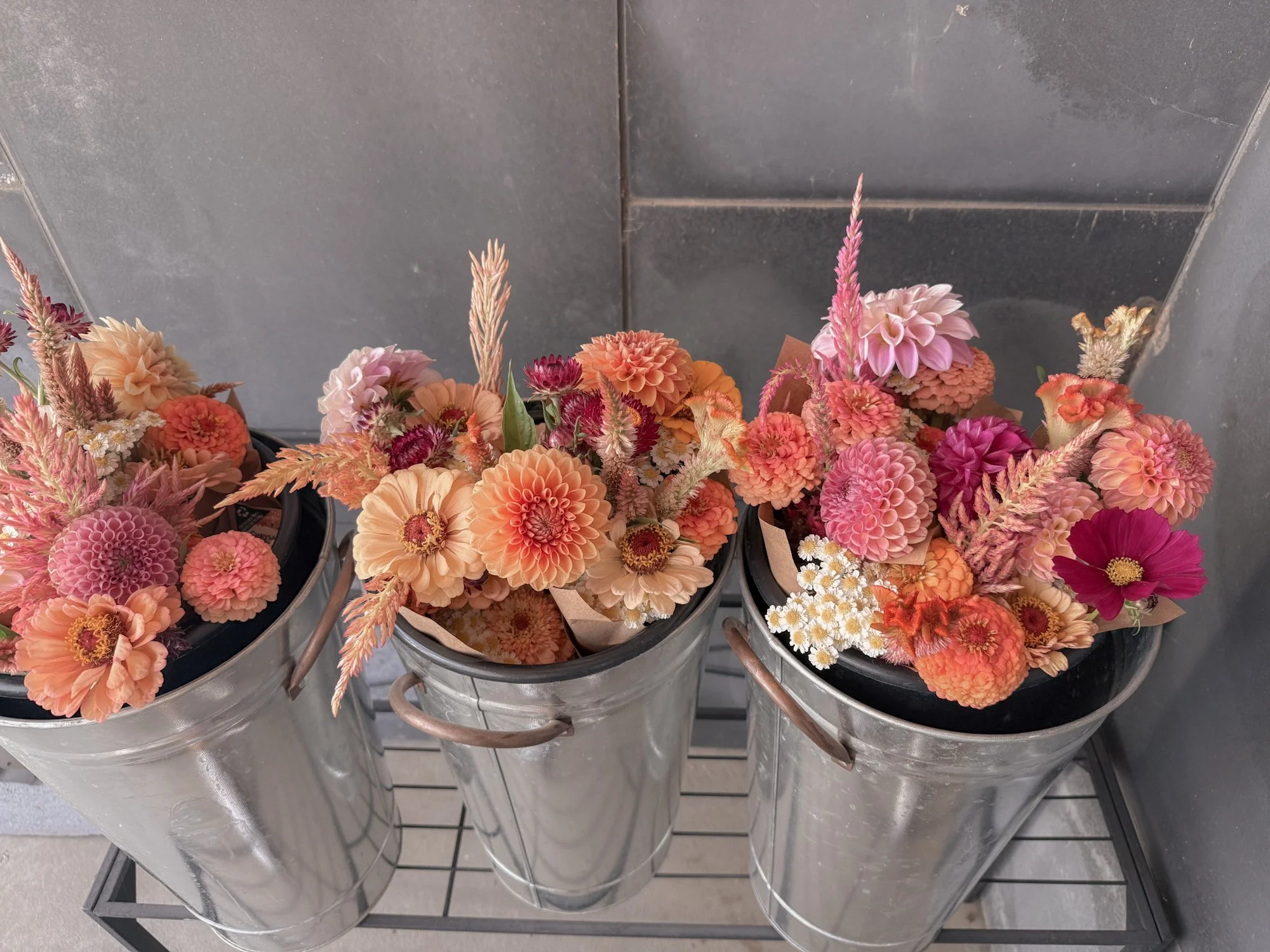 The Summer Bloom Share- Biweekly