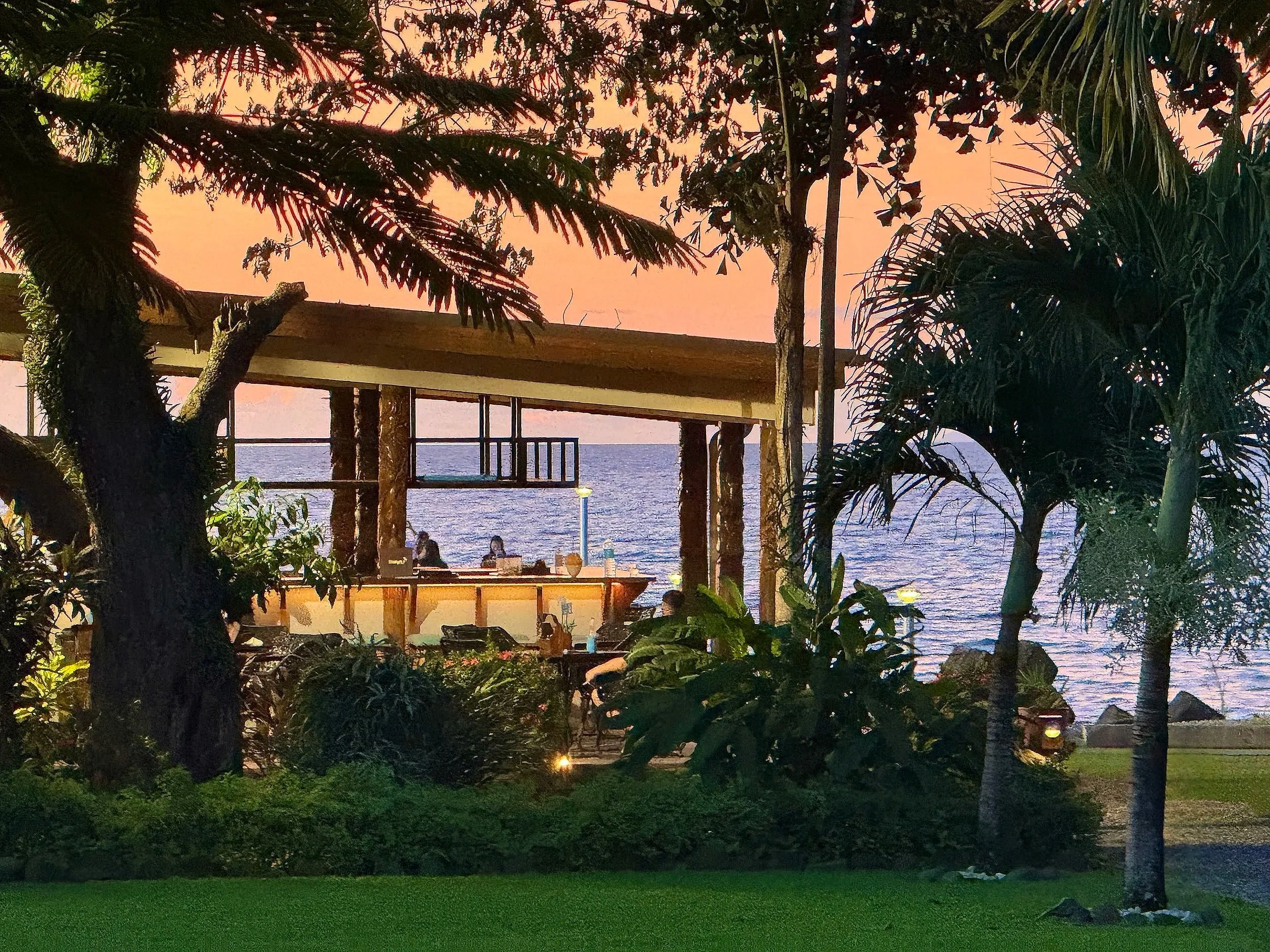 A seaside restaurant or bar framed by trees and lush greenery, with an ocean view at sunset and people sitting at the bar.