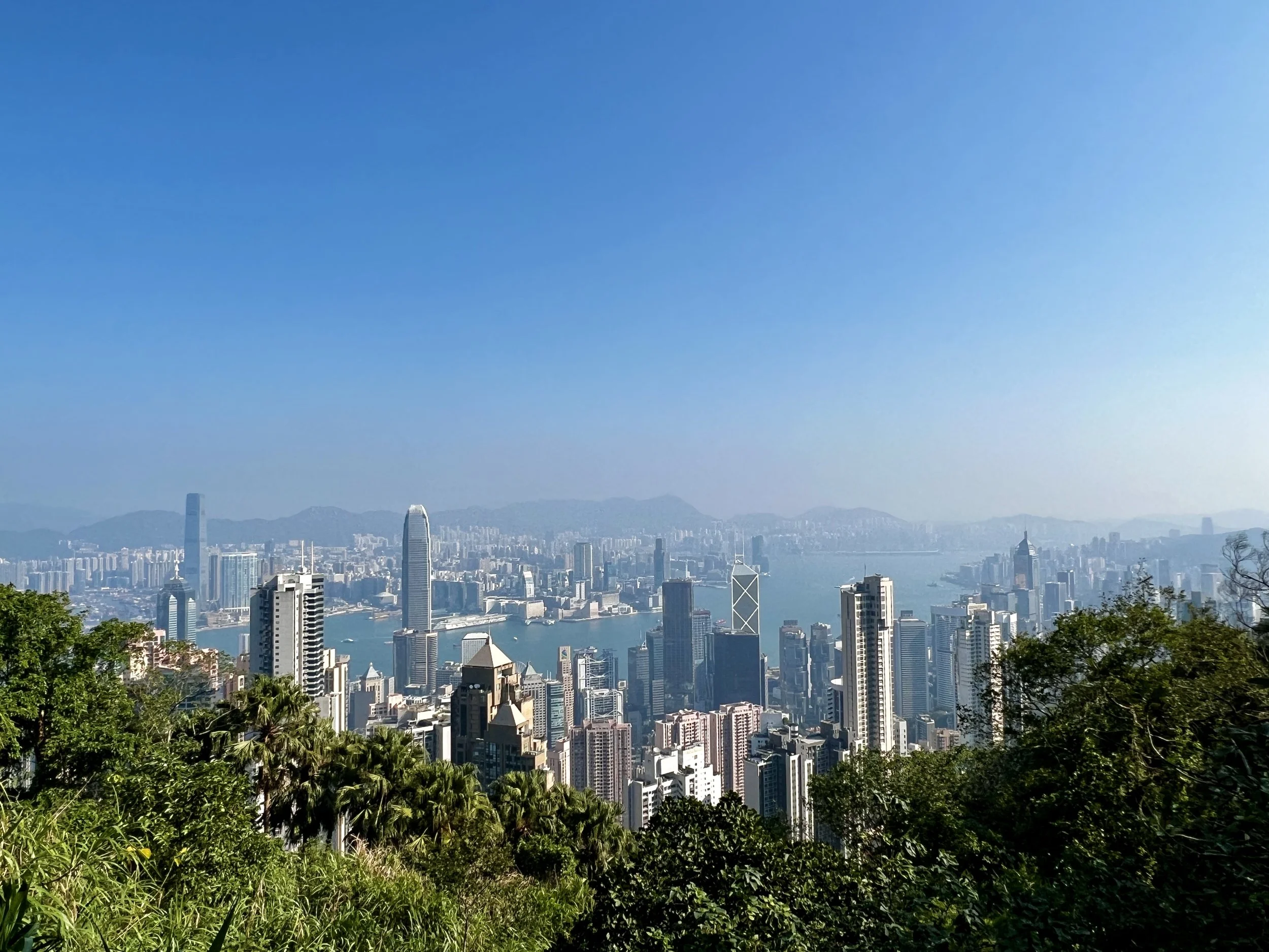City skyline of Hong Kong with tall skyscrapers, Victoria Harbour, and green trees in the foreground under a blue sky.