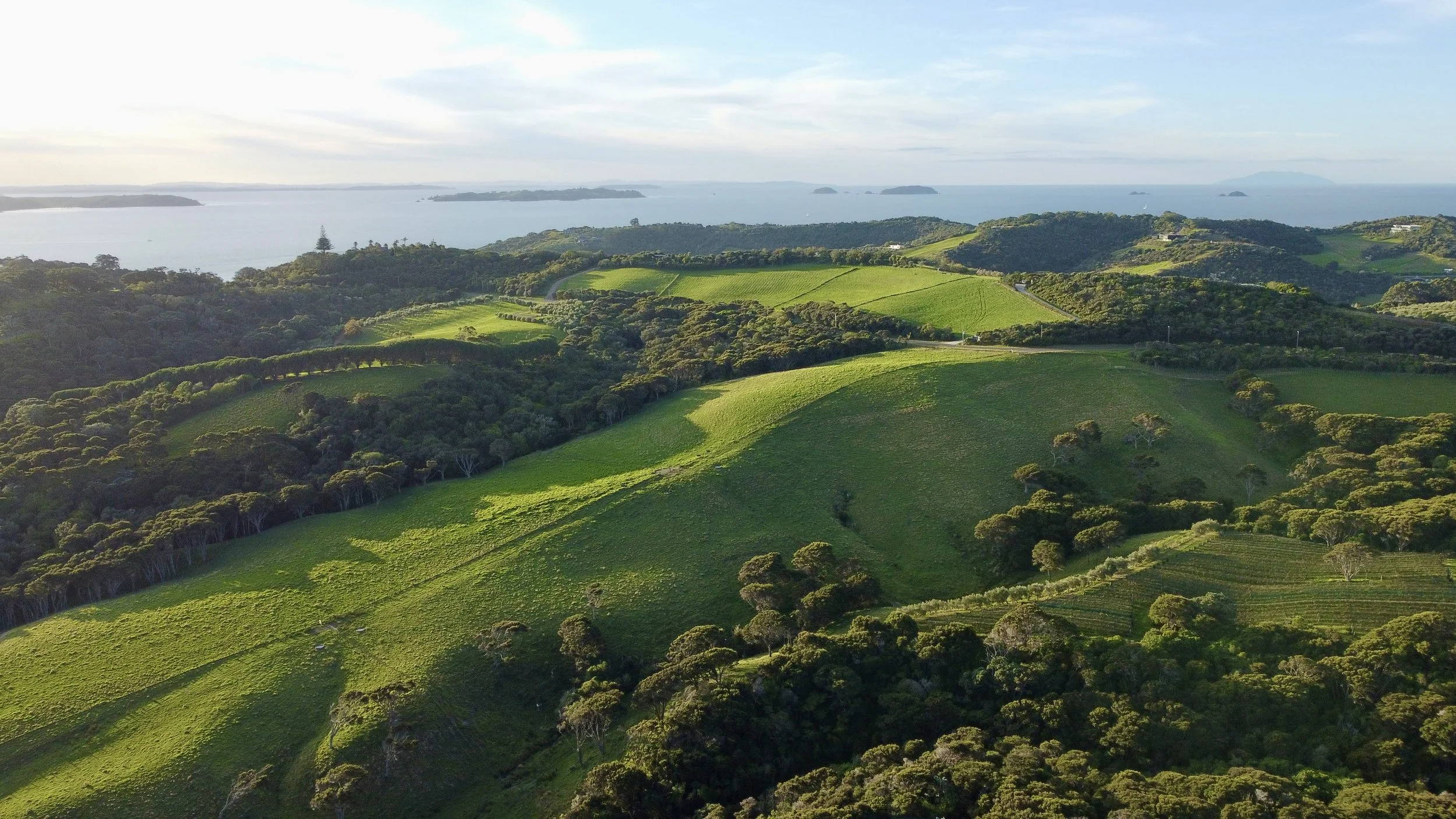 Aerial view of green rolling hills with scattered trees, overlooking a body of water with islands in the distance