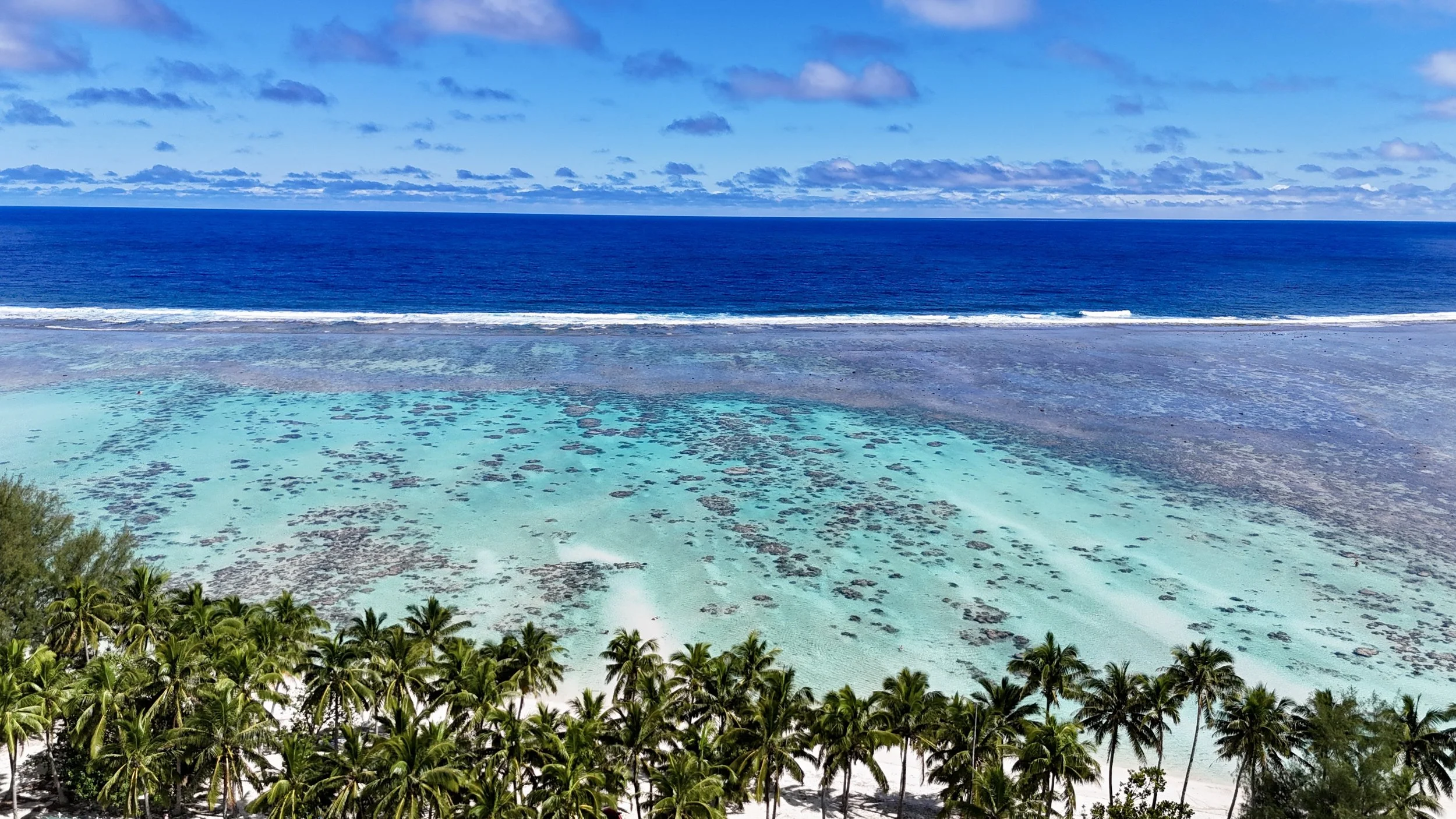 Tropical beach with palm trees, clear turquoise water, and a deep blue ocean under a partly cloudy sky.