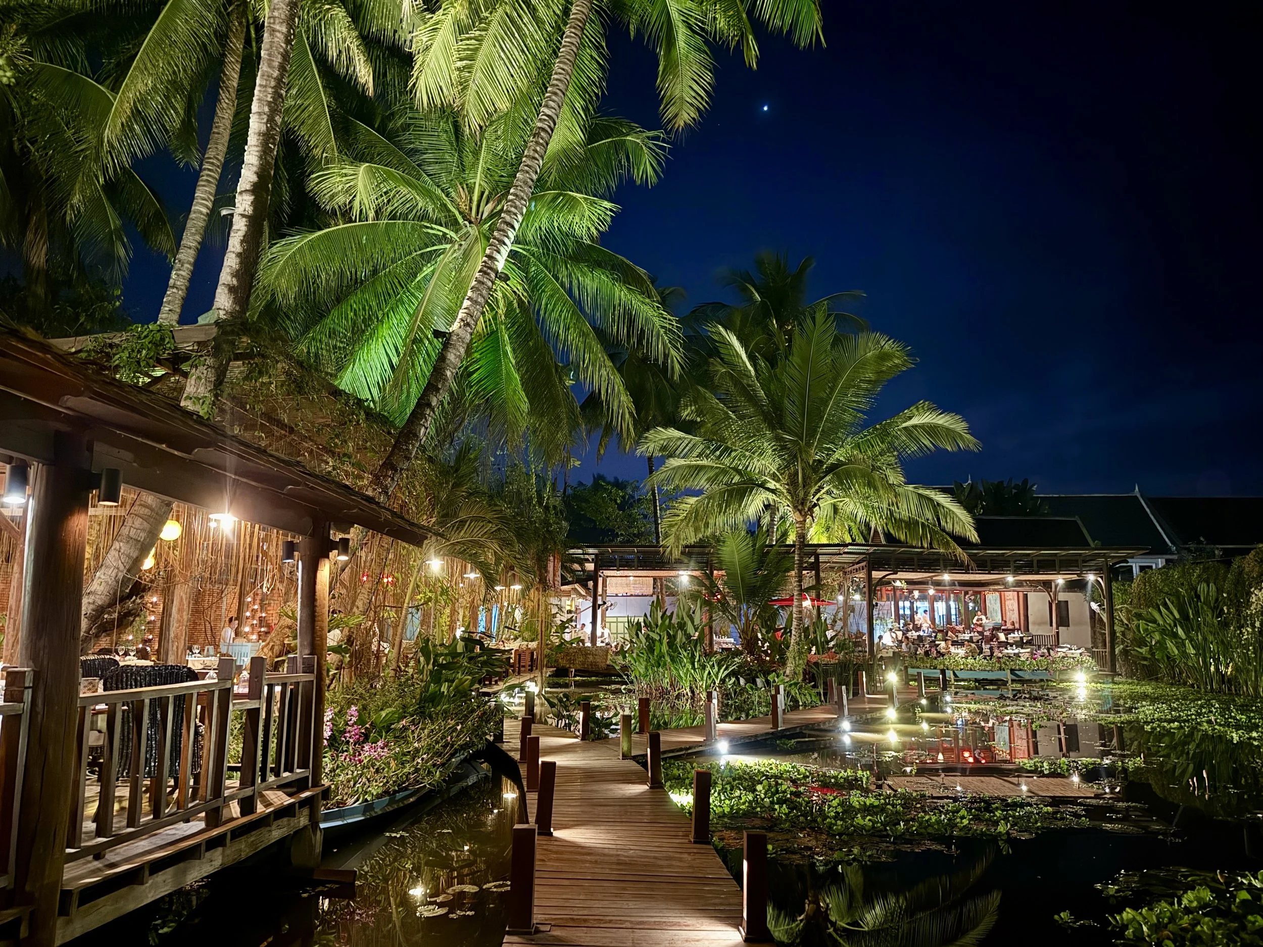 Nighttime view of an outdoor tropical restaurant with illuminated palm trees, wooden walkways over a pond with water plants, and a lit dining area in the background.