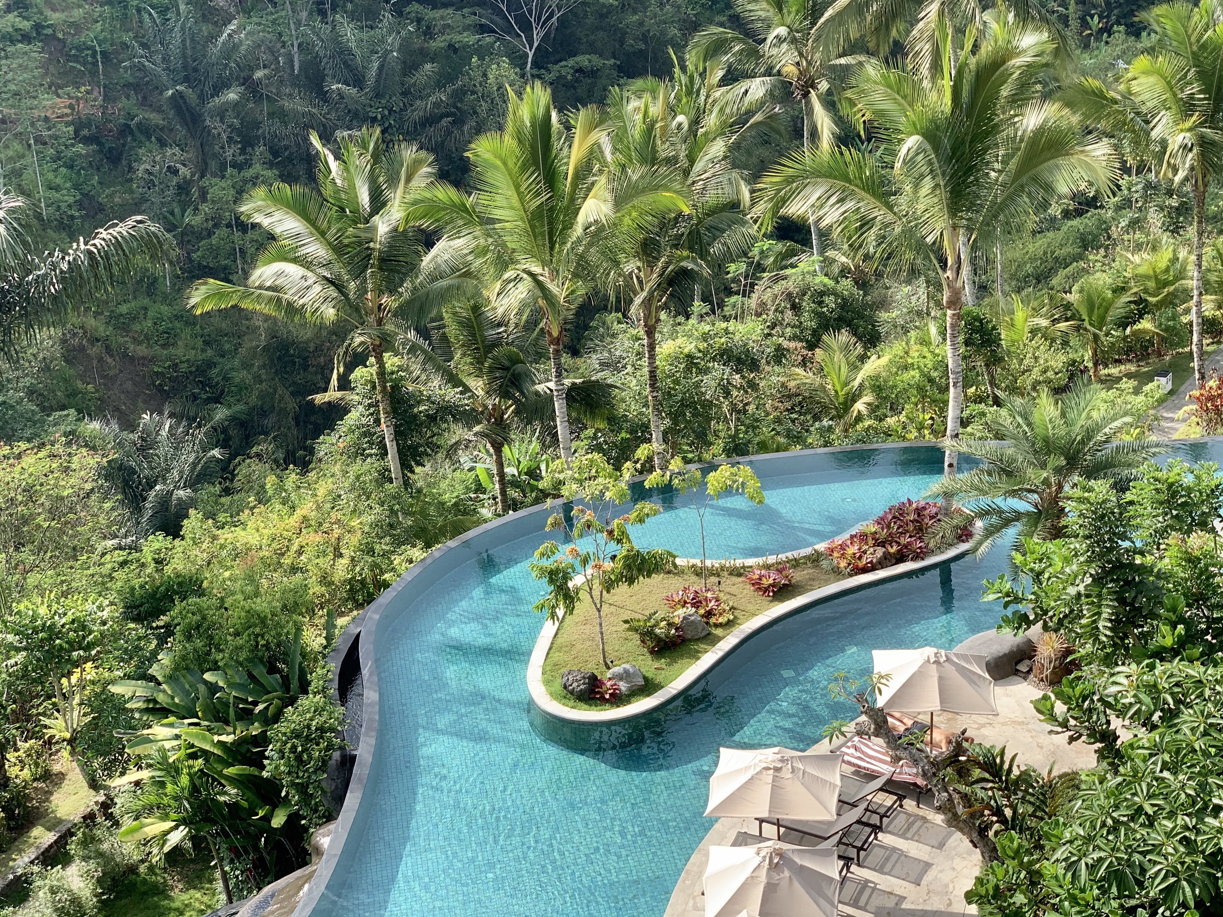 Swimming pool surrounded by trees and tropical plants, with lounge chairs and umbrellas on a sunny day.