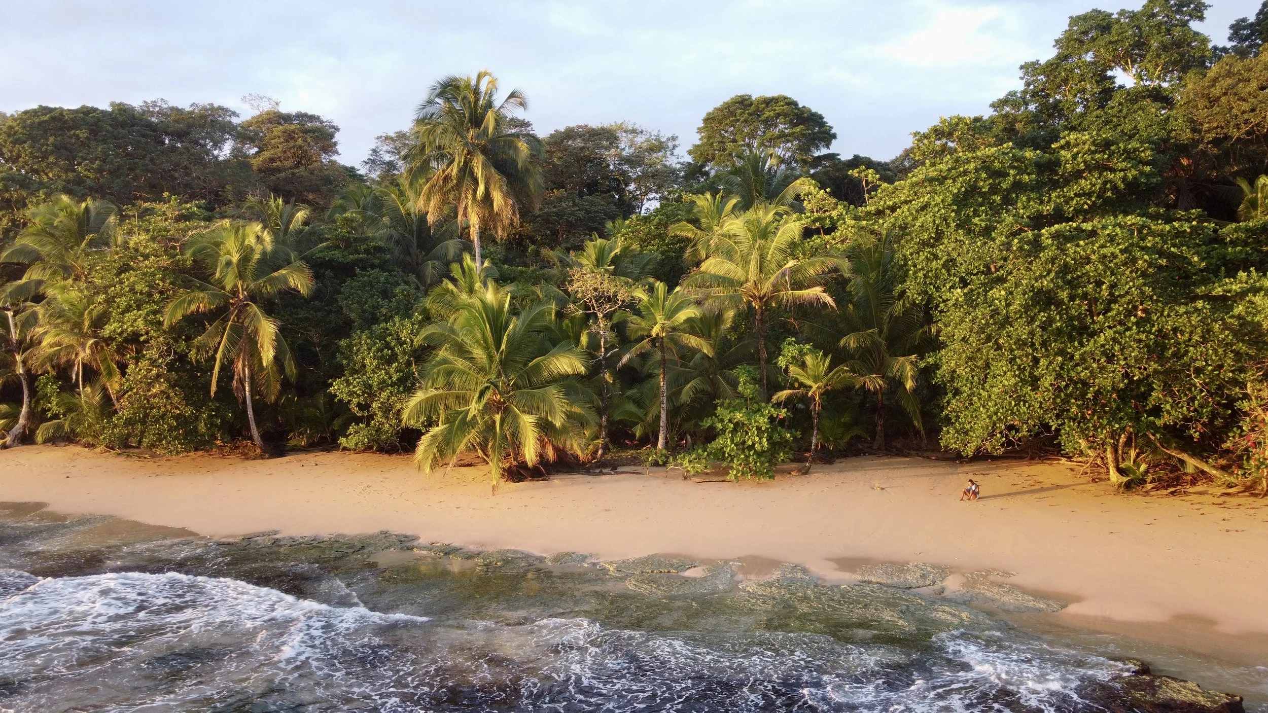 Tropical beach with sandy shore, palm trees, and dense green foliage in the background, with a person sitting on the sand near the trees.