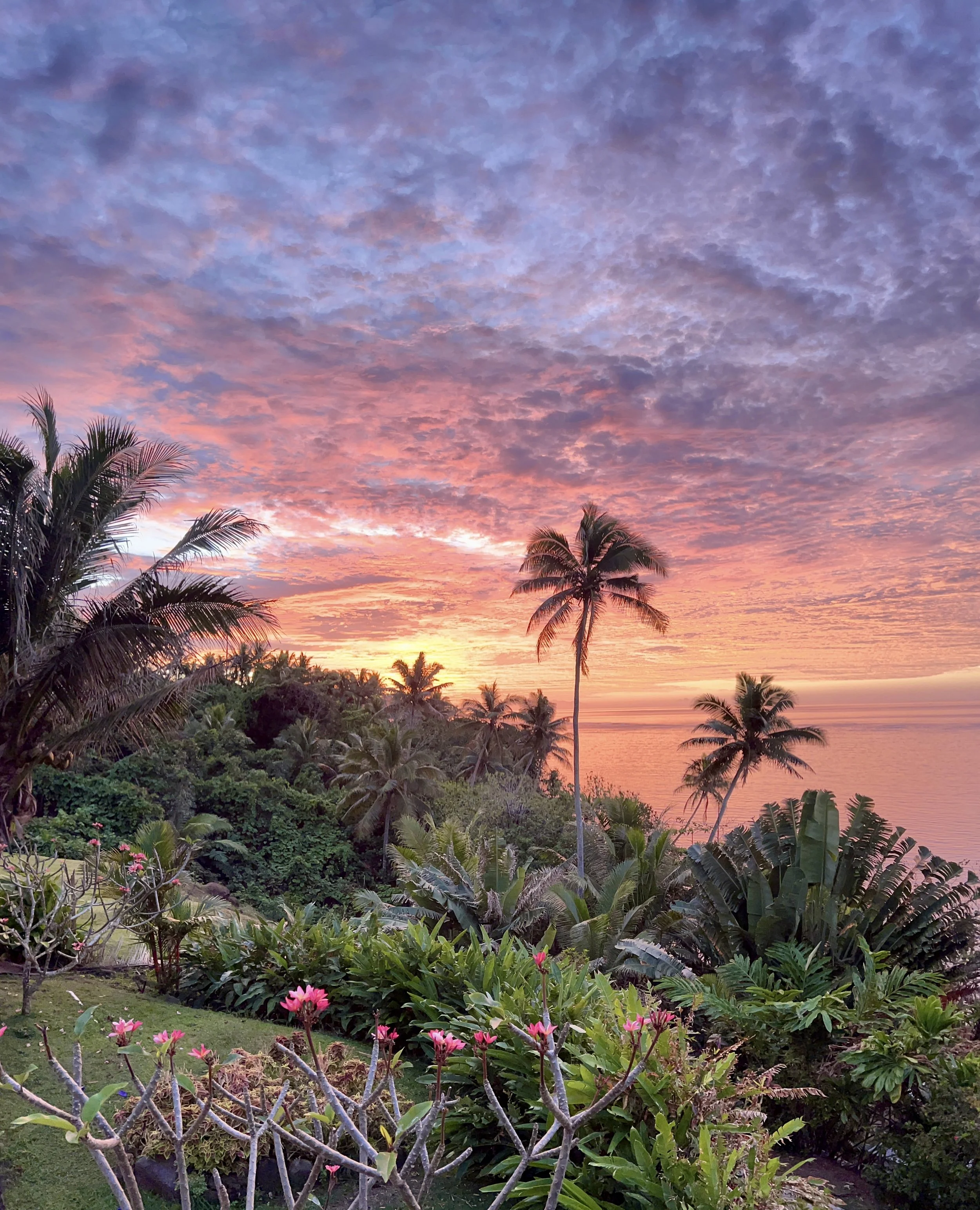A tropical landscape at sunset with palm trees, lush green vegetation, and a colorful sky with shades of pink, purple, and orange.