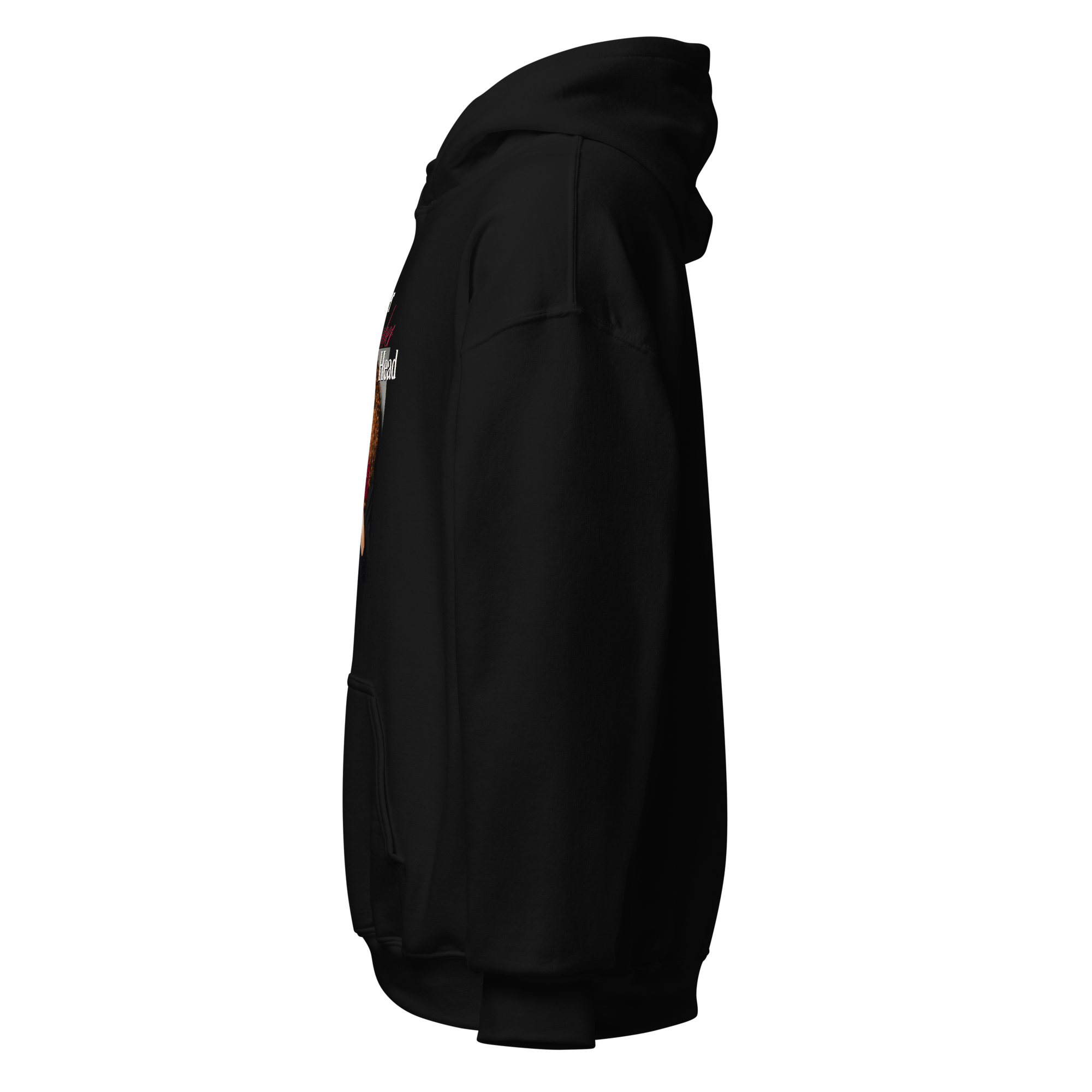 unisex-heavy-blend-hoodie-black-left-69ea2208ab341.png