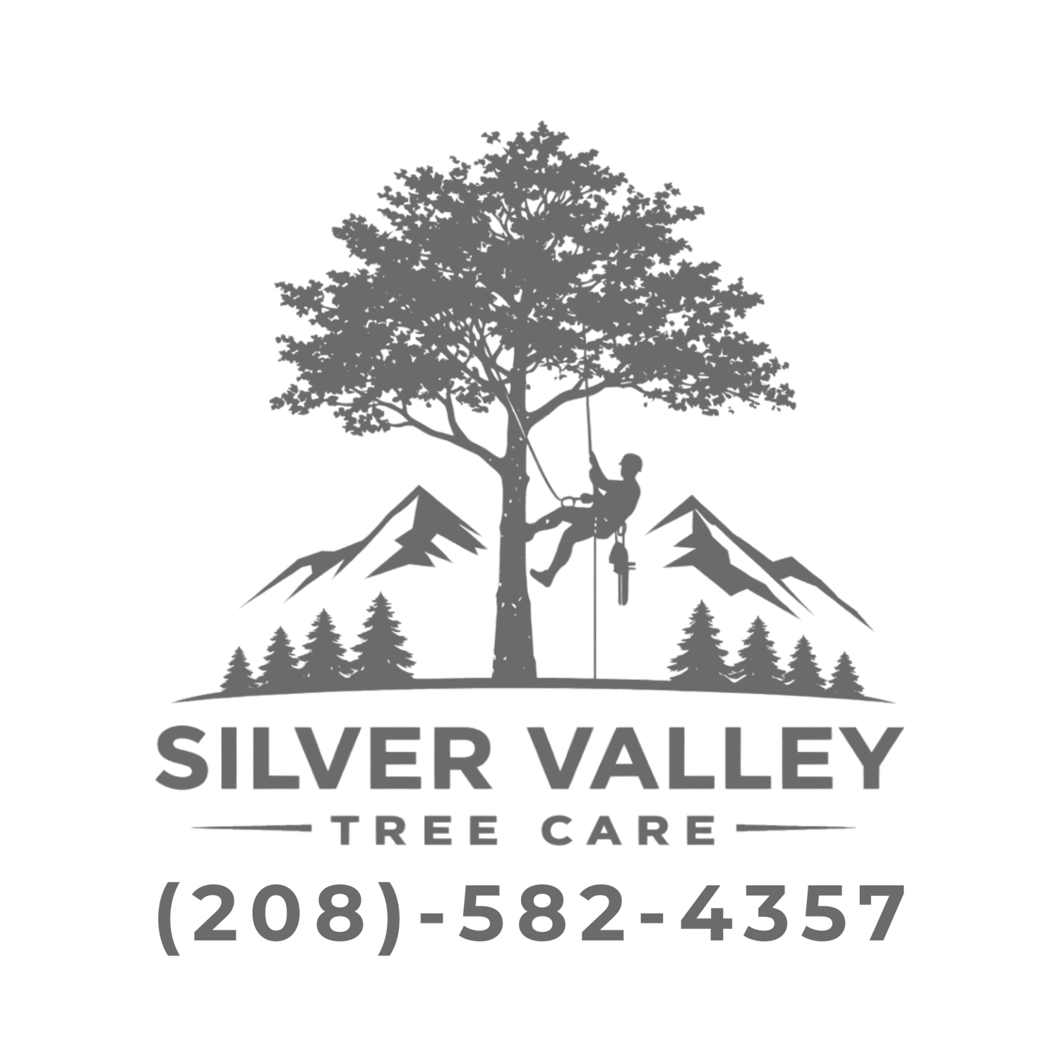 Silver Valley Tree Care