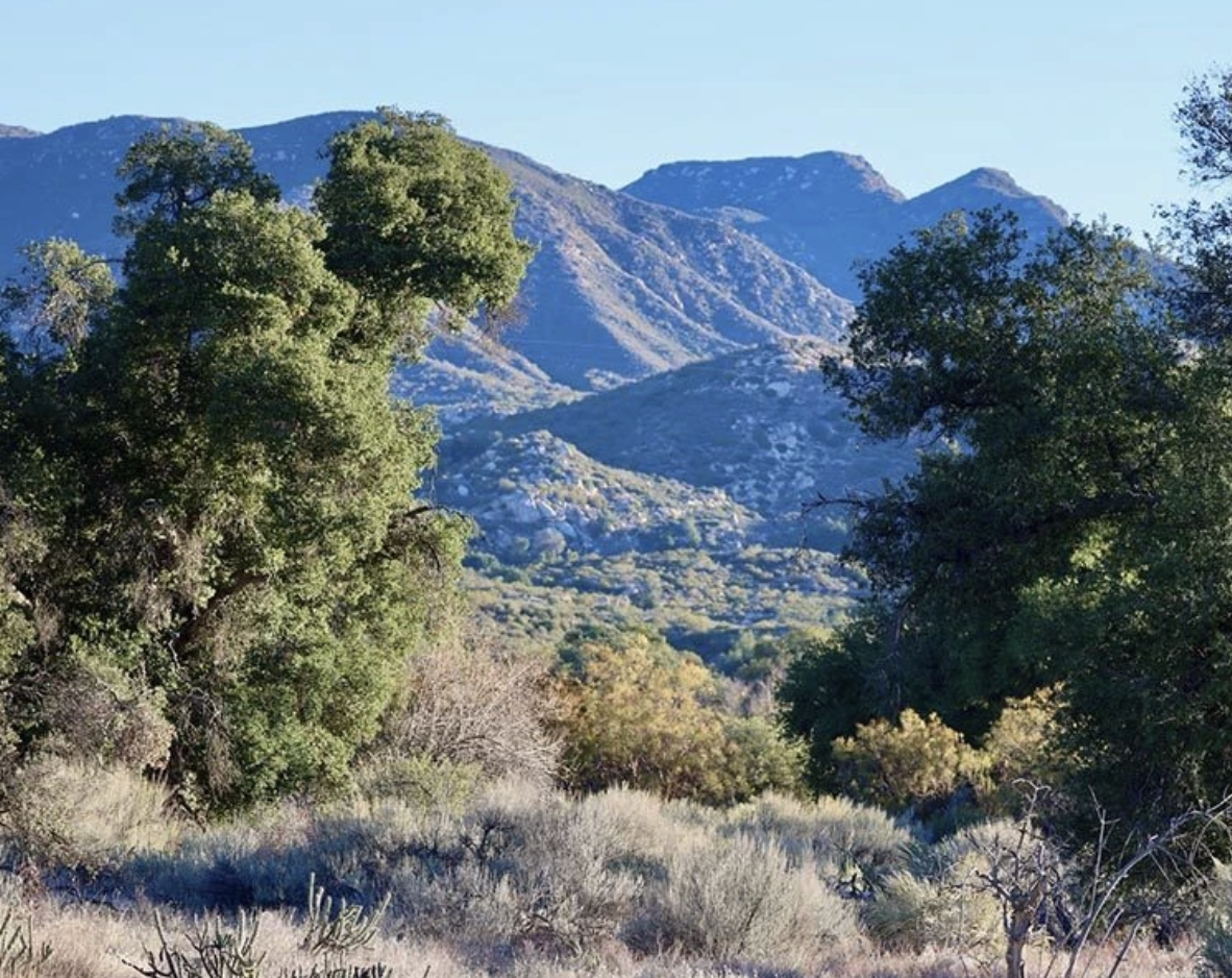 Retreat at Manzanita Village