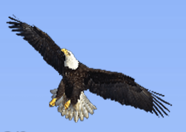 Workshop with Francesca Mason Boring Trusting Our Wings