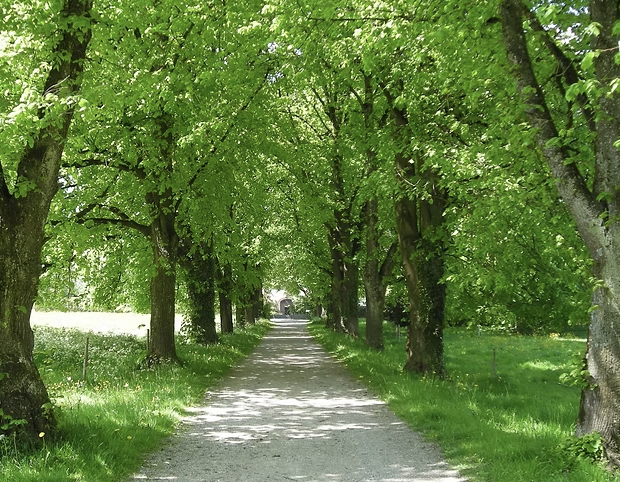 Workshop with Elisabeth Zeuch 