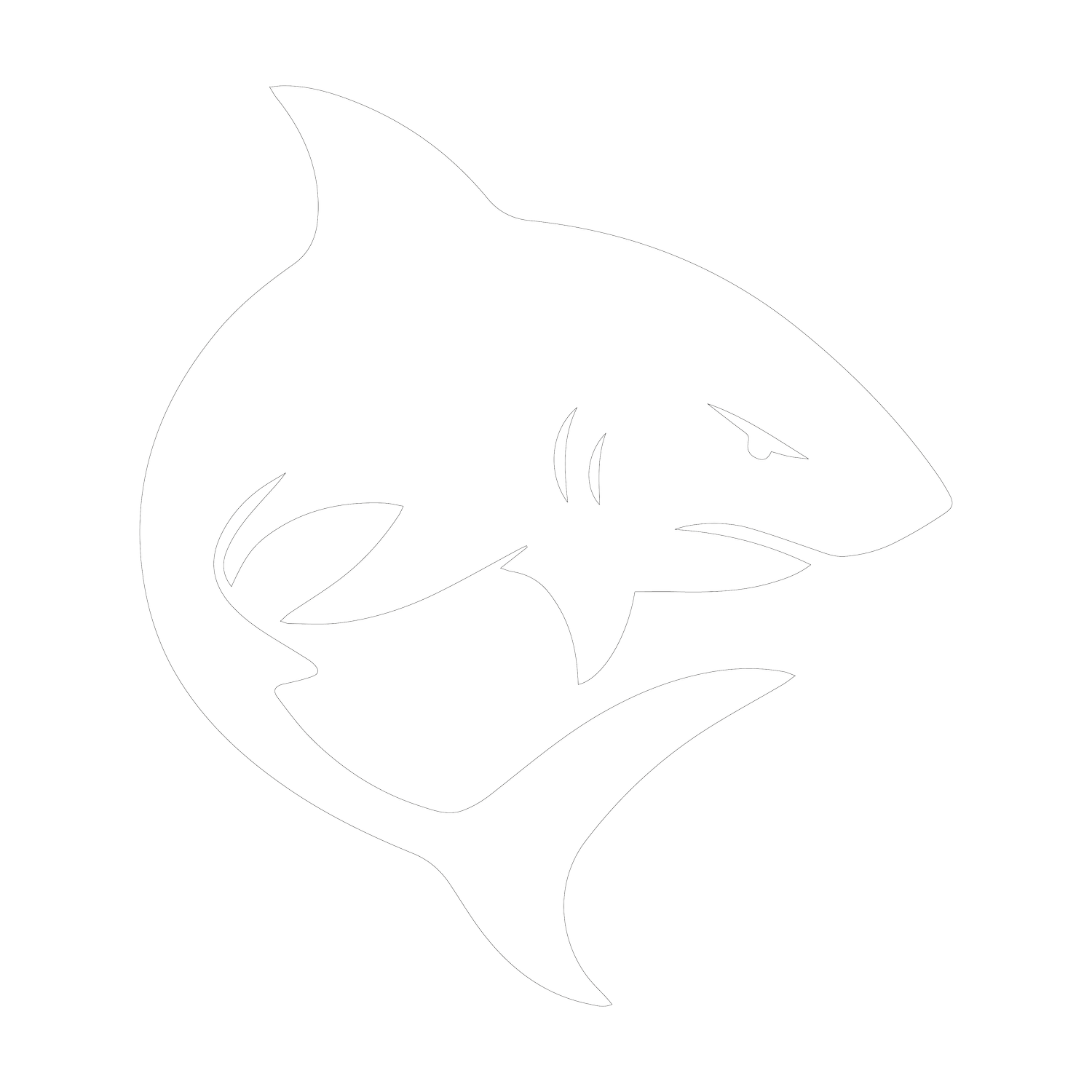 Shark Equipo Creativo