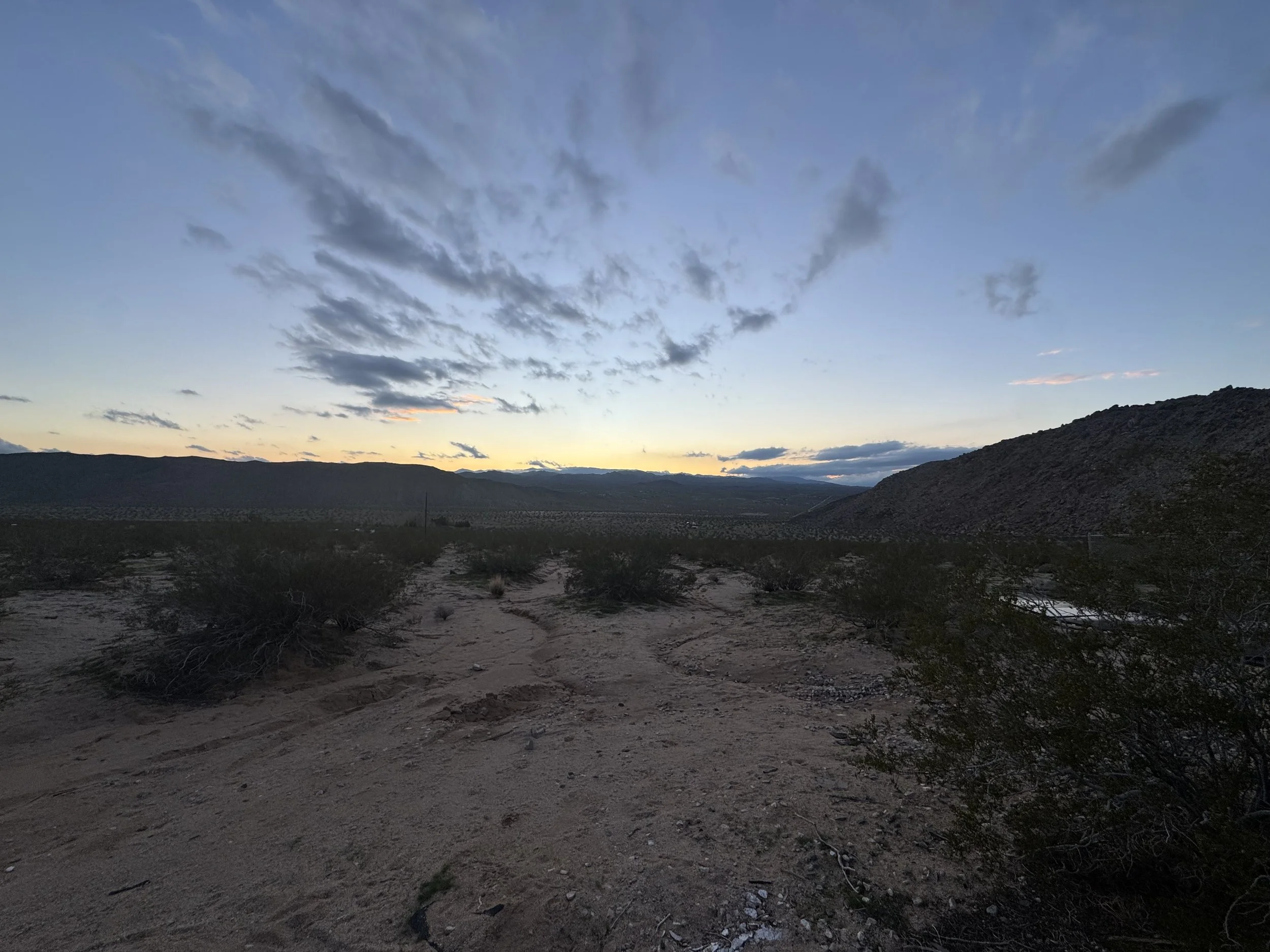 Desert landscape at dusk with dirt path, bushes, distant mountains, and a cloudy sky.