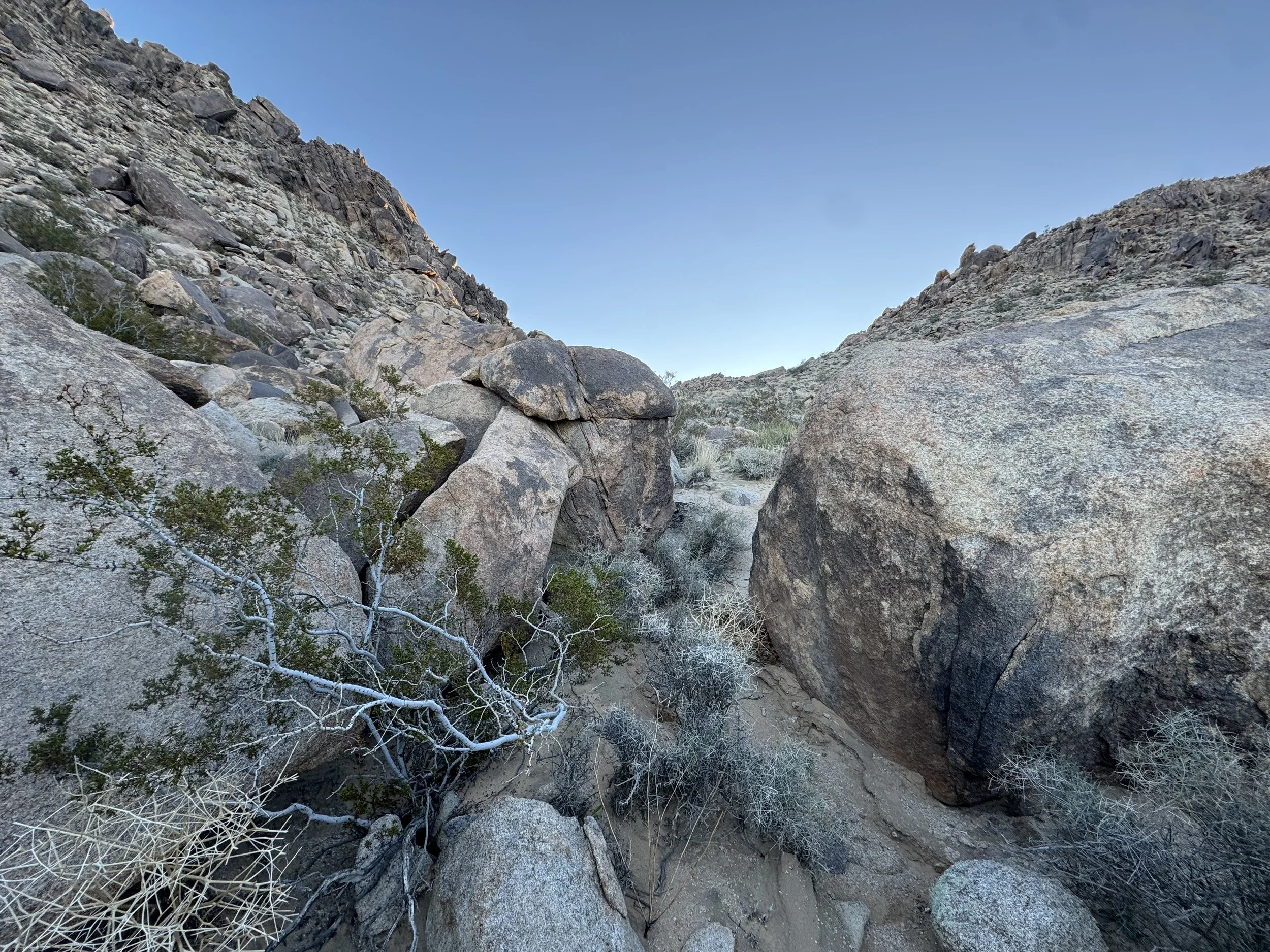 Desert landscape with large rocks and sparse dry bushes under a clear blue sky.