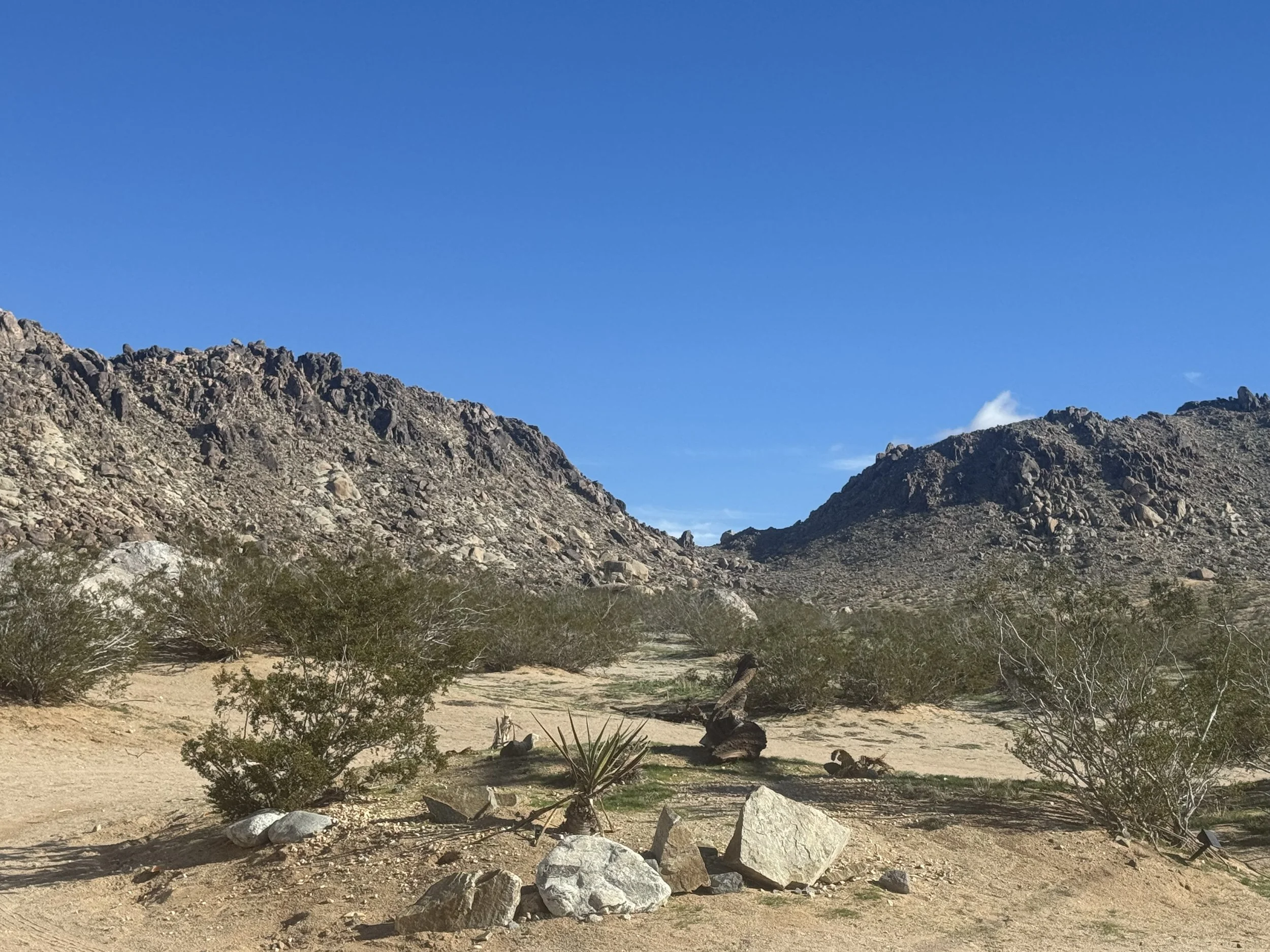 A desert landscape with rocky mountains, sparse bushes, and scattered rocks under a clear blue sky.