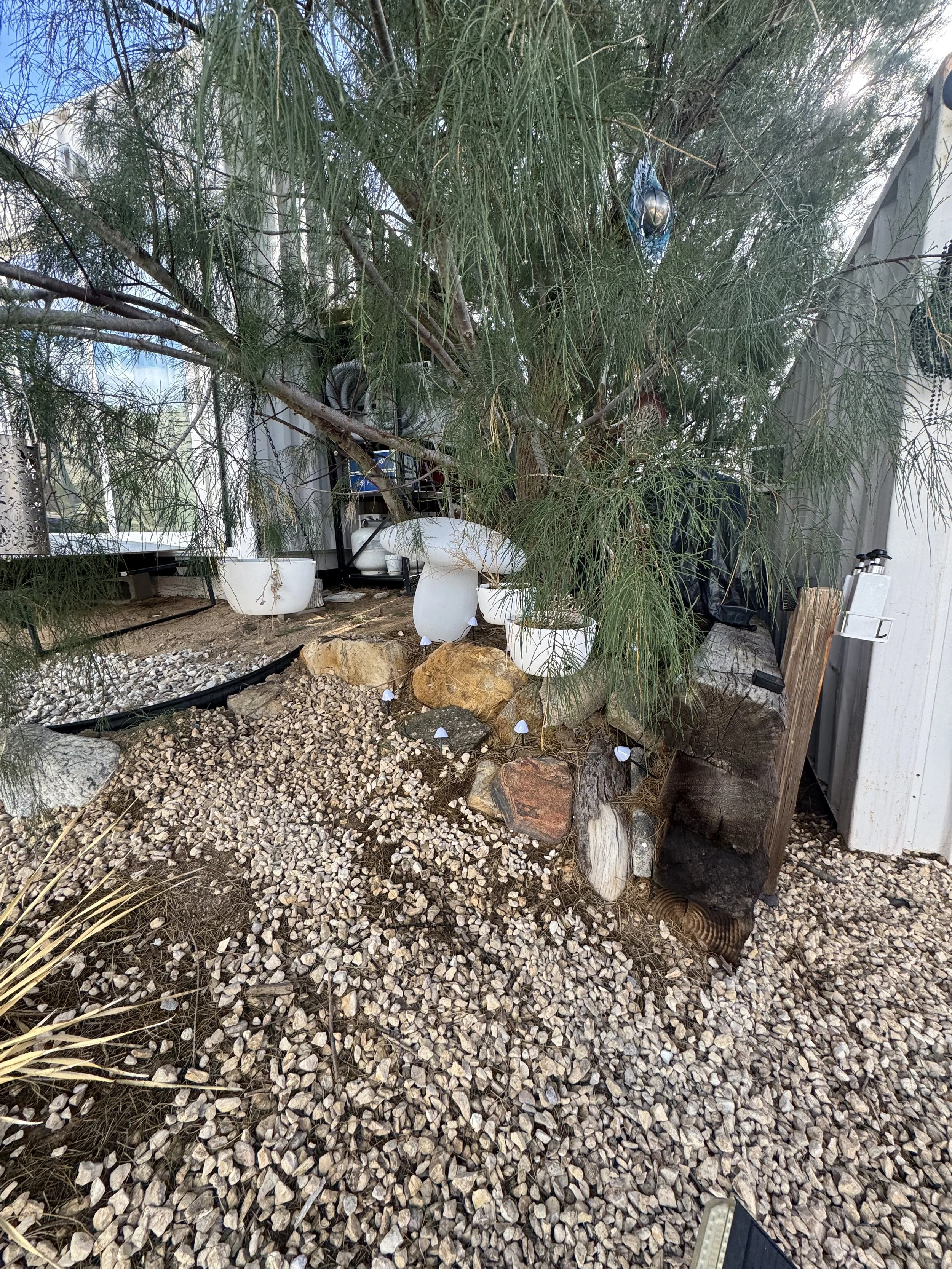 A small, landscaped garden area with a large tree, rocks, gravel ground cover, potted plants, and garden ornaments or decorations.