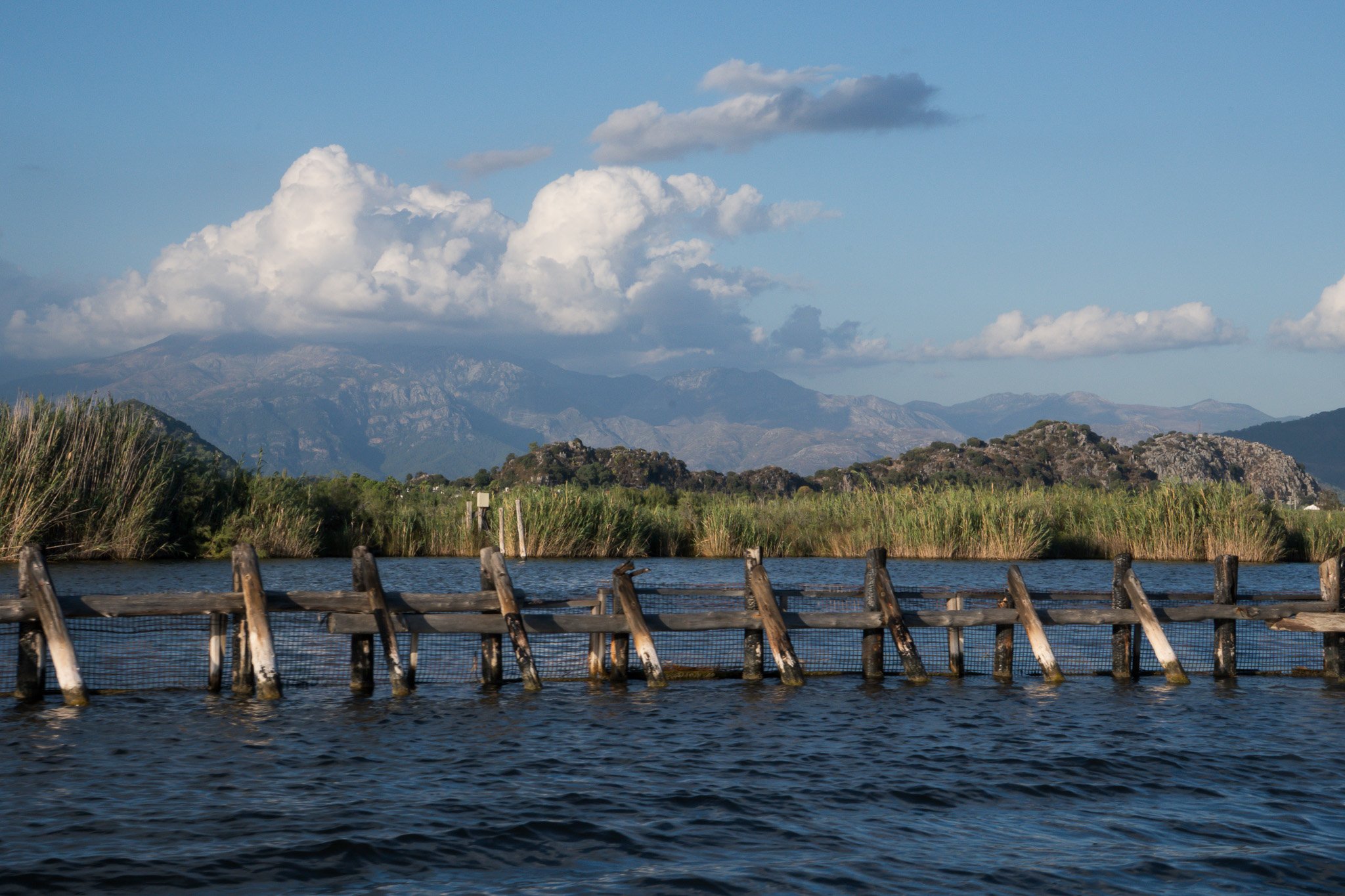 A wooden dock extends into a body of water, with tall reeds and green vegetation in the background. Mountain range with clouds overhead under a partly cloudy sky.