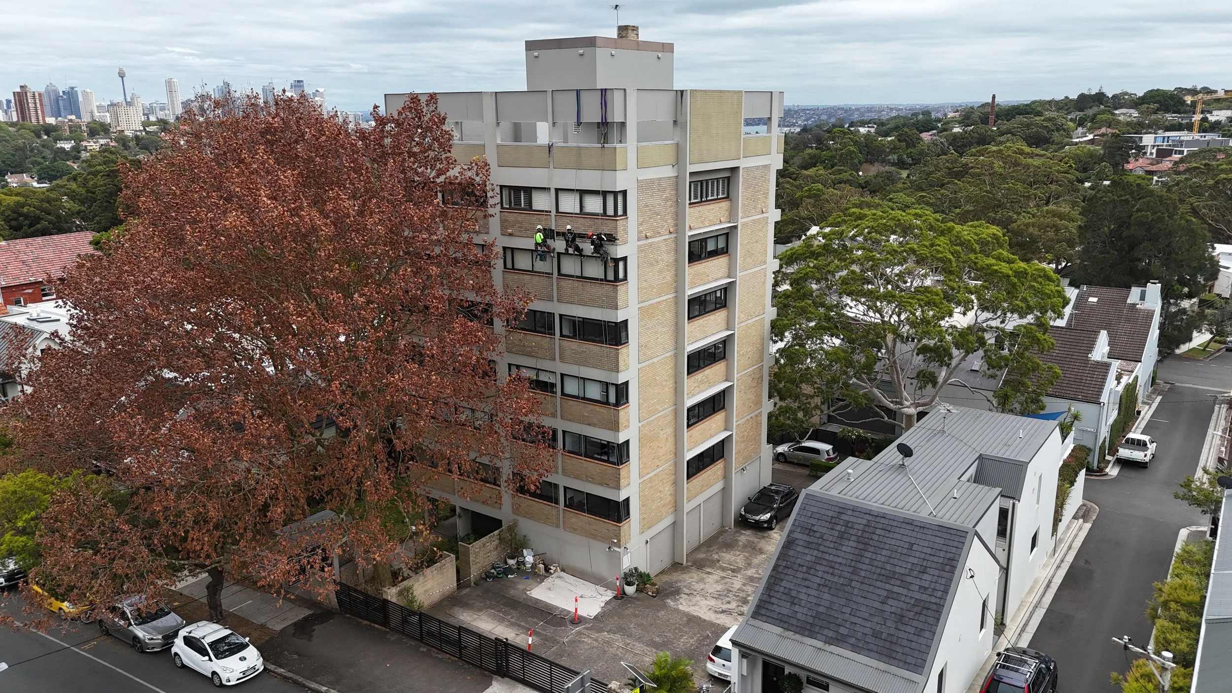 High-rise building with window washers cleaning windows on the upper floors, surrounded by large trees and nearby residential houses.
