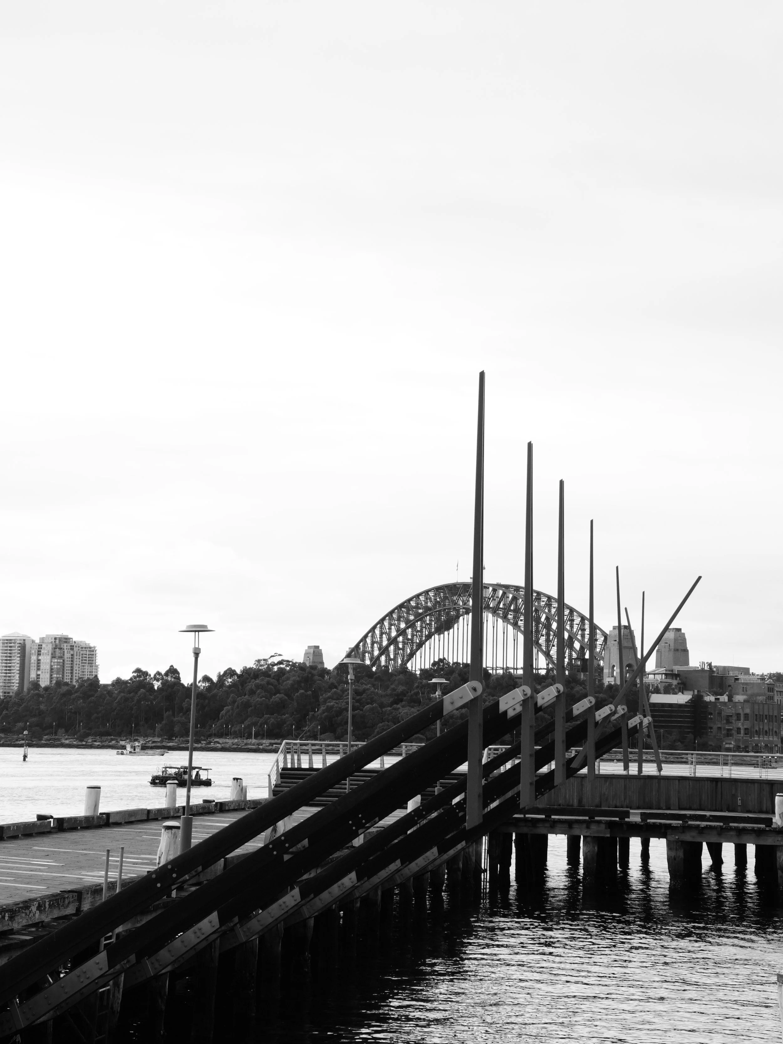 DSC04010.JPG