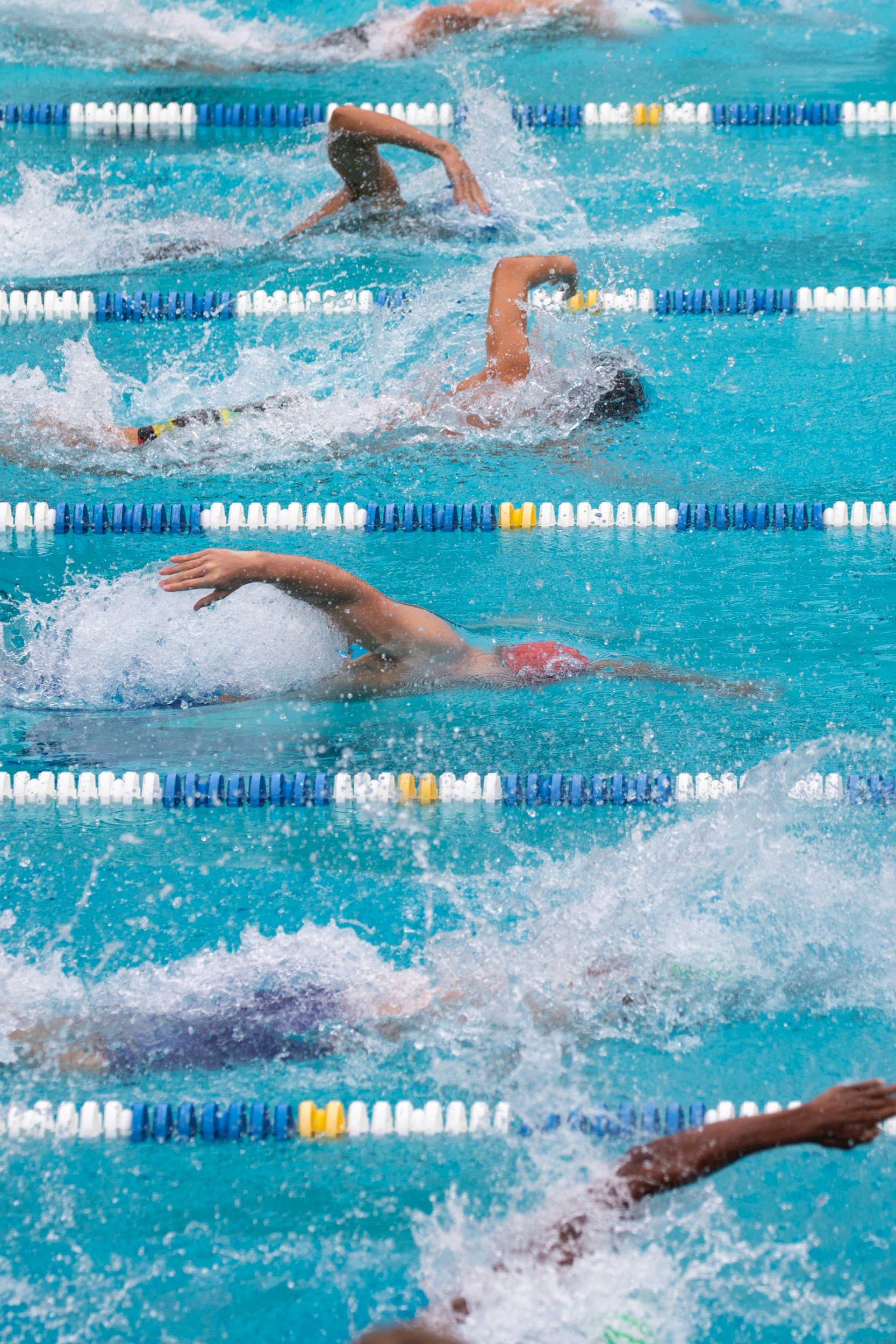 a closeup image of a pool with lanes of swimmers competing during a race
