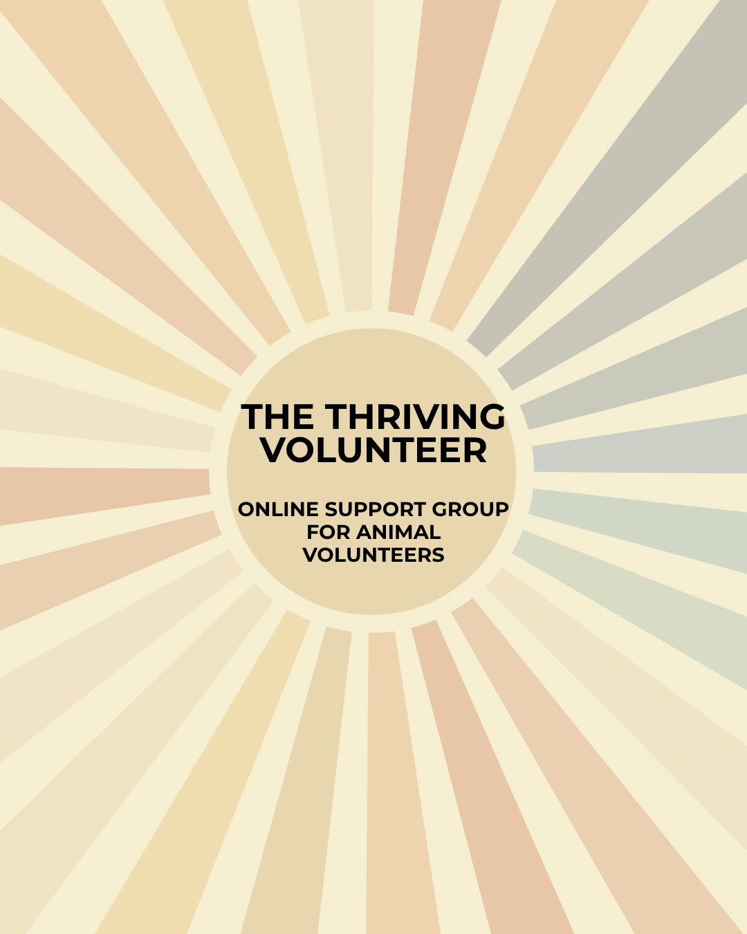 The Thriving Volunteer | Partner Membership