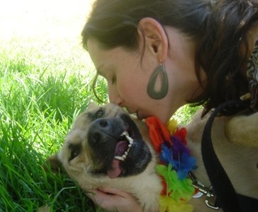 woman kissing shepherd dog on grass