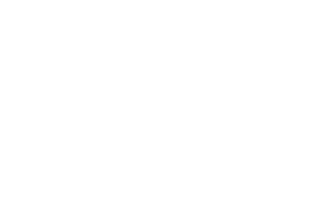 Patak's logo