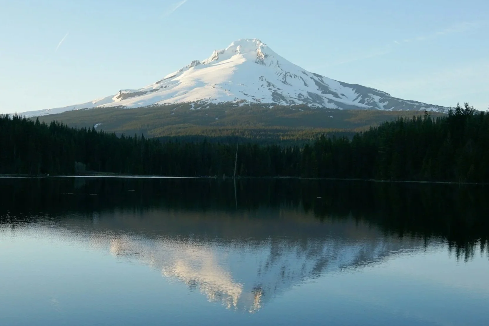 Snow-capped mountain reflecting on a calm body of water surrounded by a dense forest.
