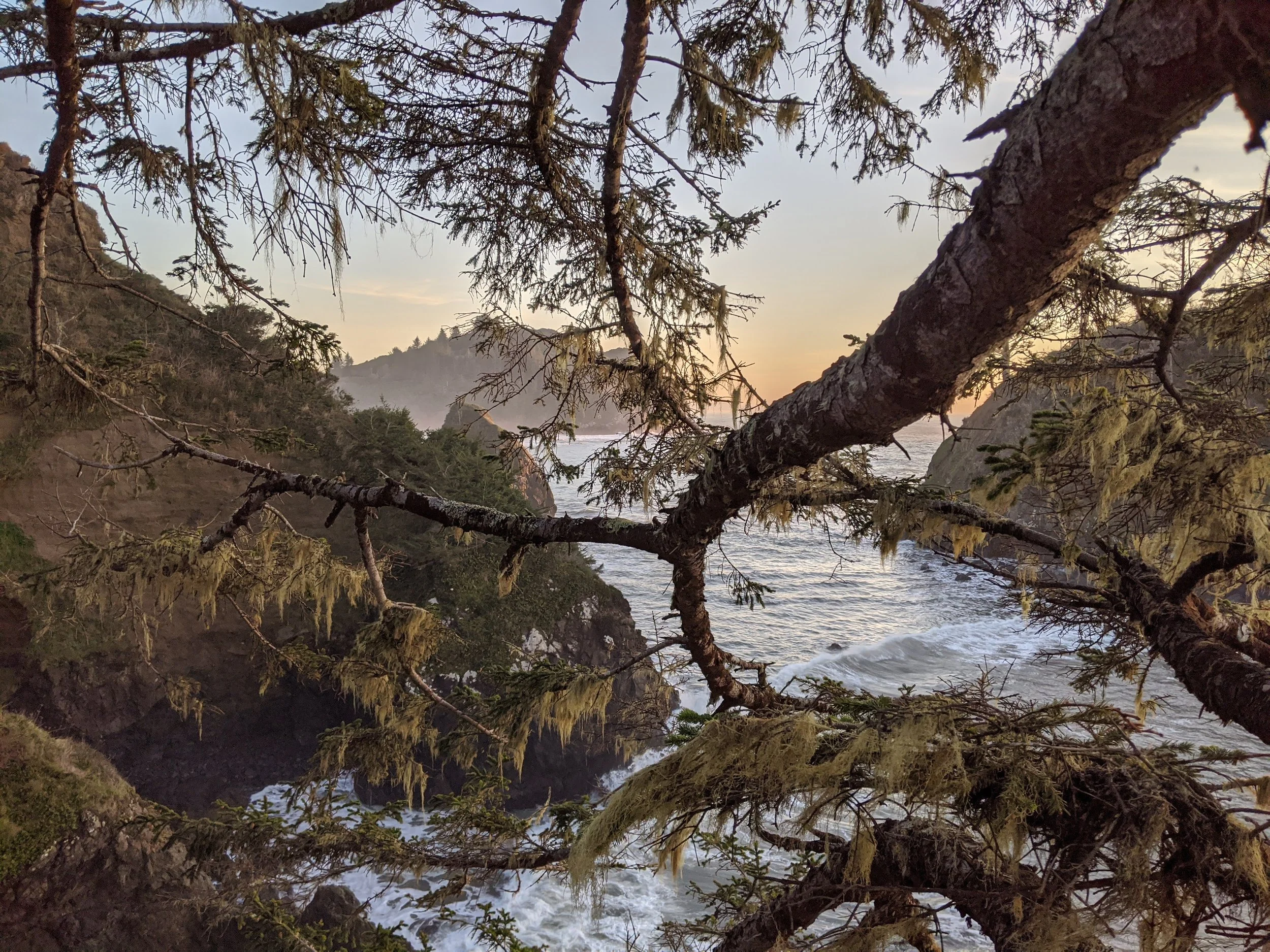 Quantum Embodied Envisioning