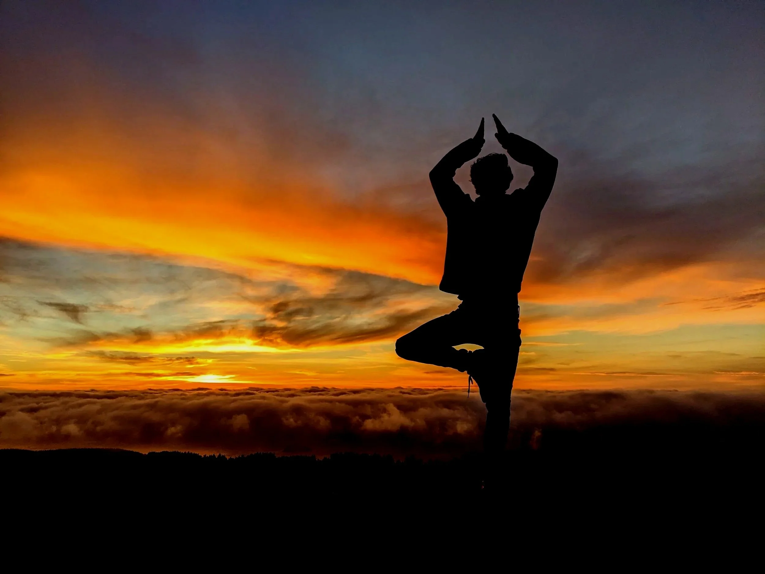 Embodied Dance & Expression 1-Hour