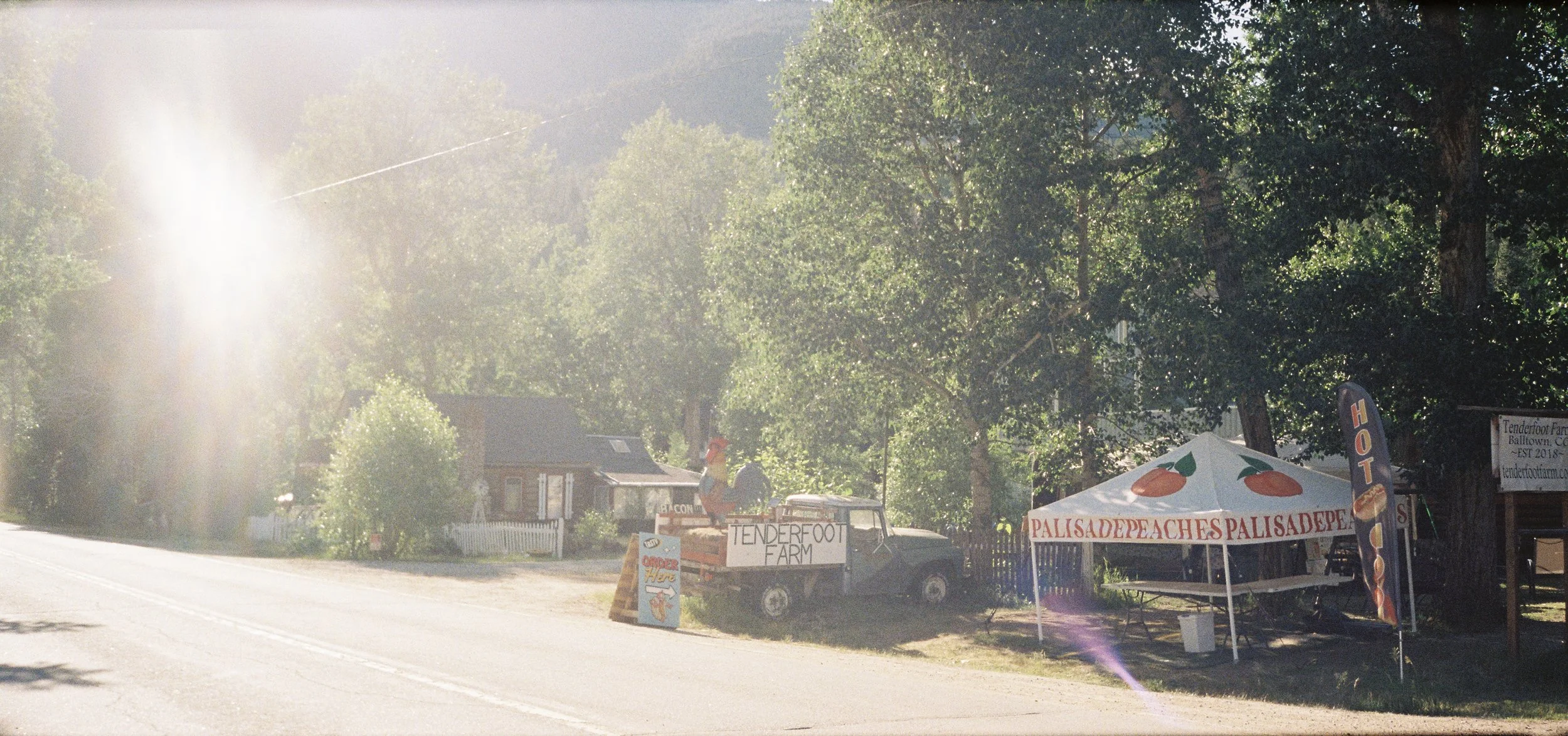 CamilaNore004336-R1-005-1.jpg