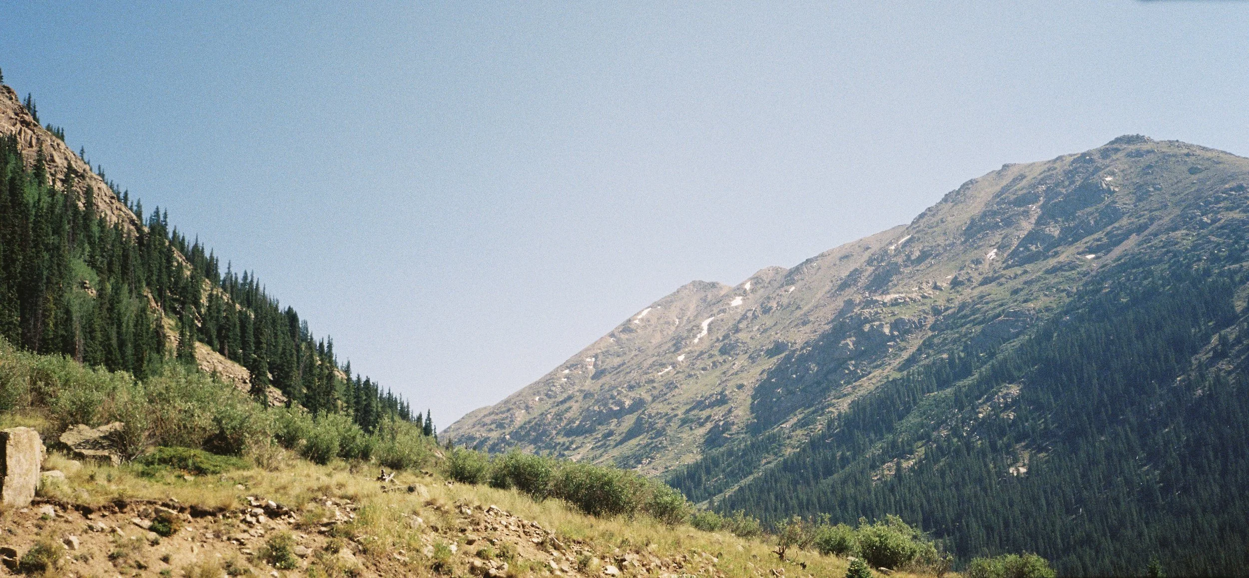CamilaNore004336-R1-033-15.jpg