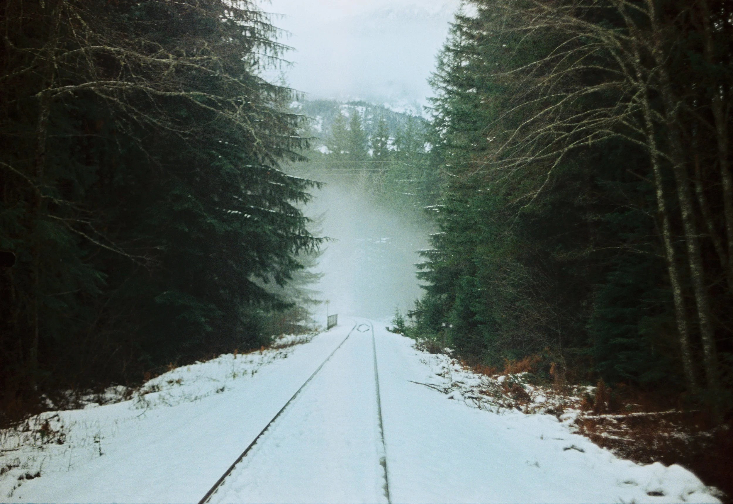 camilanore001636-R1-017-7.jpg