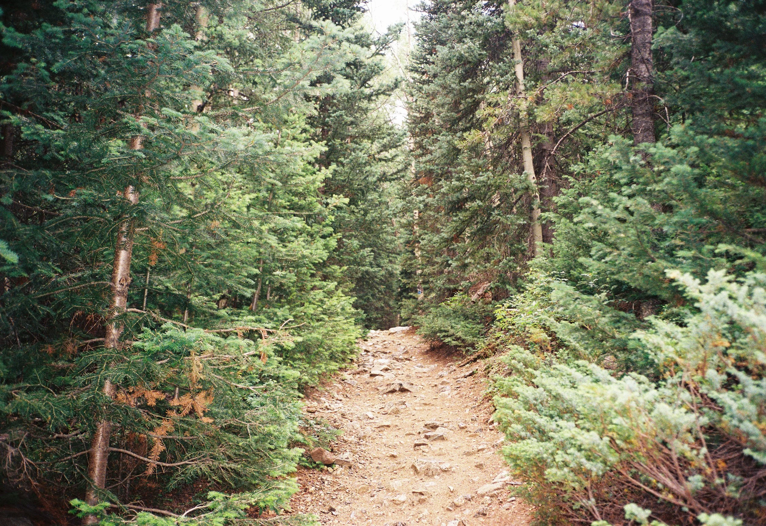 CamilaNore004334-R1-017-7.jpg