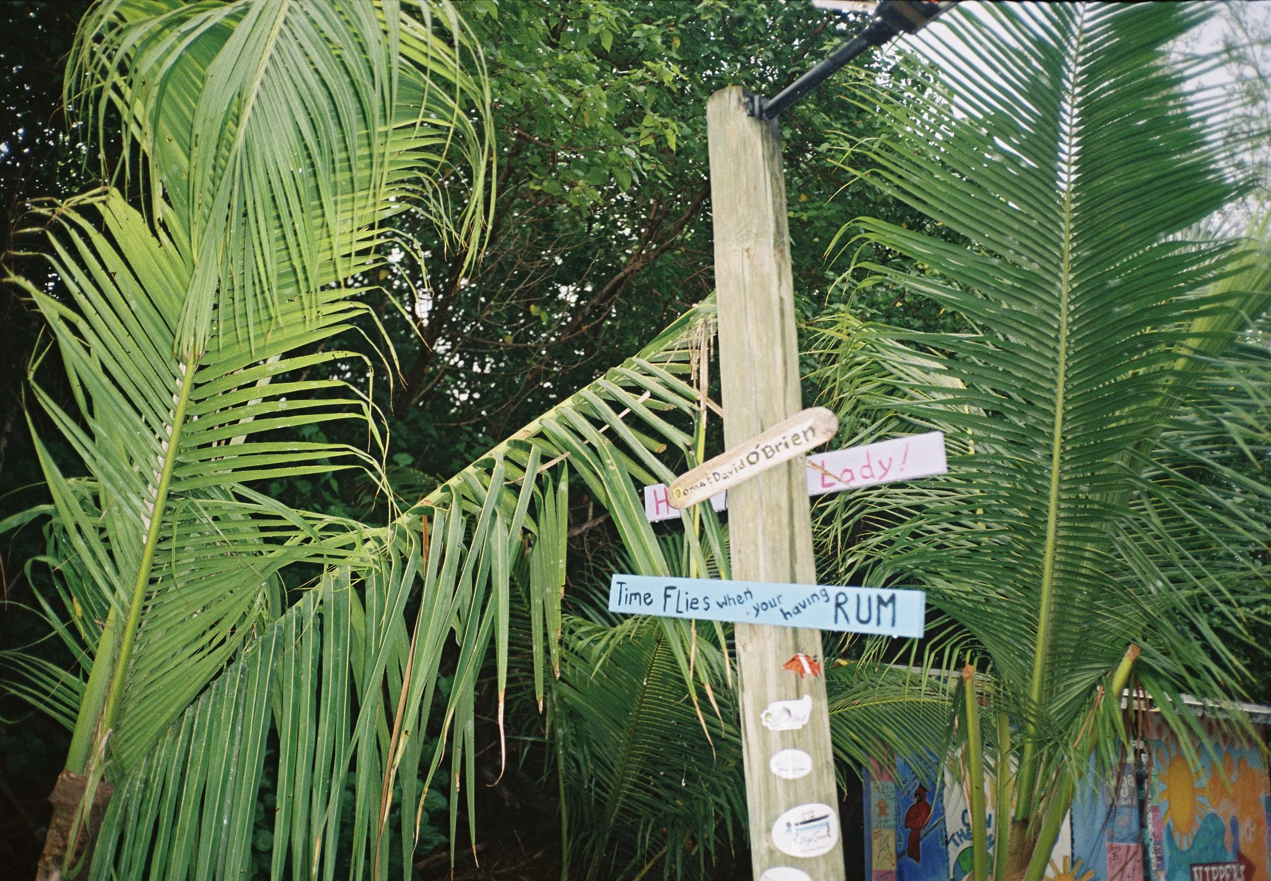 IMG_3004.JPG