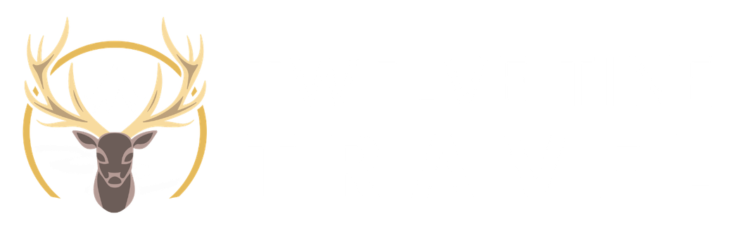 Twelve Tine Travel