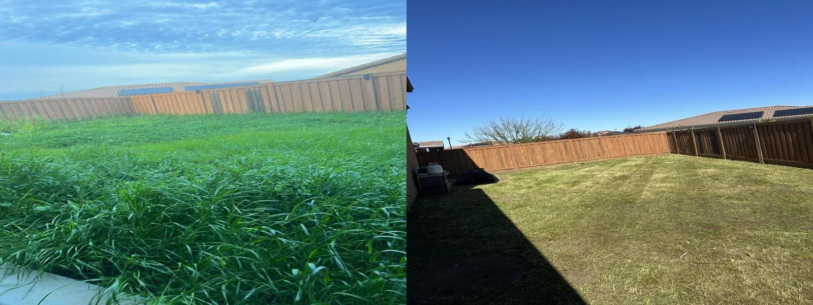 A side-by-side comparison of a backyard with overgrown grass before and a clean, mowed yard after.