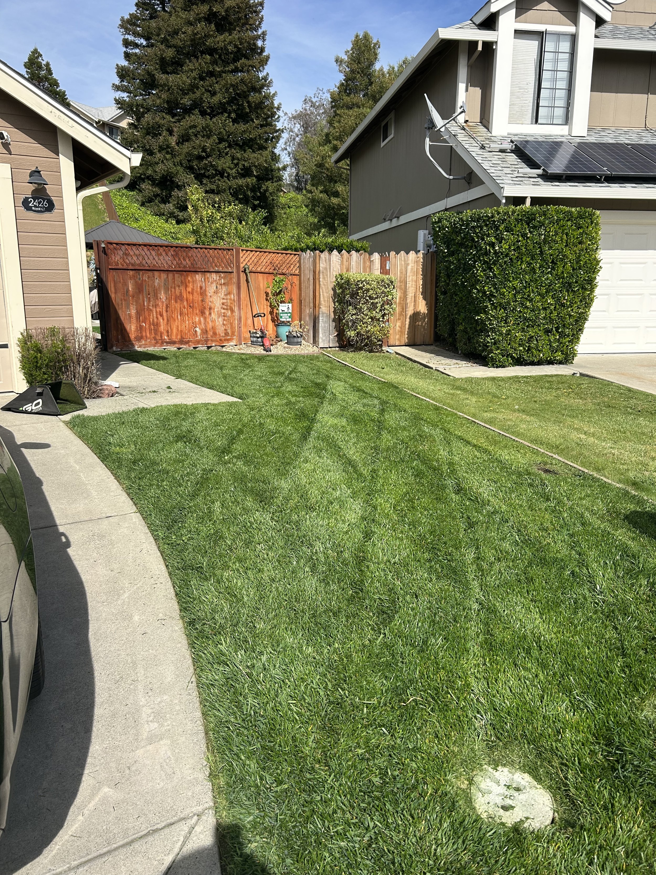 Well-maintained front yard with green grass, a concrete pathway on the left, and residential houses with fences and shrubbery in the background.