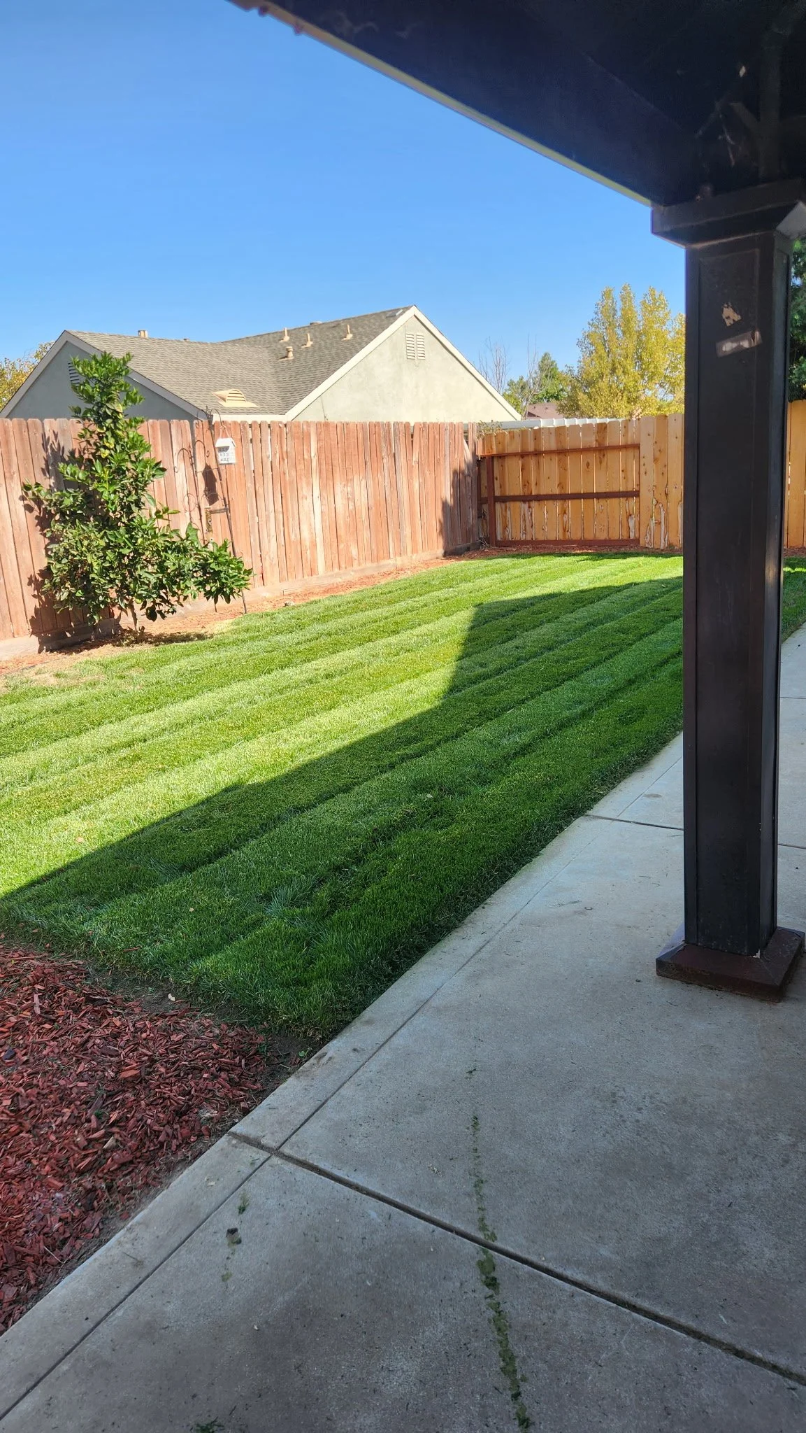 Photo of a backyard with a green lawn, a wooden fence, and a small tree, taken from under a covered patio with concrete flooring.