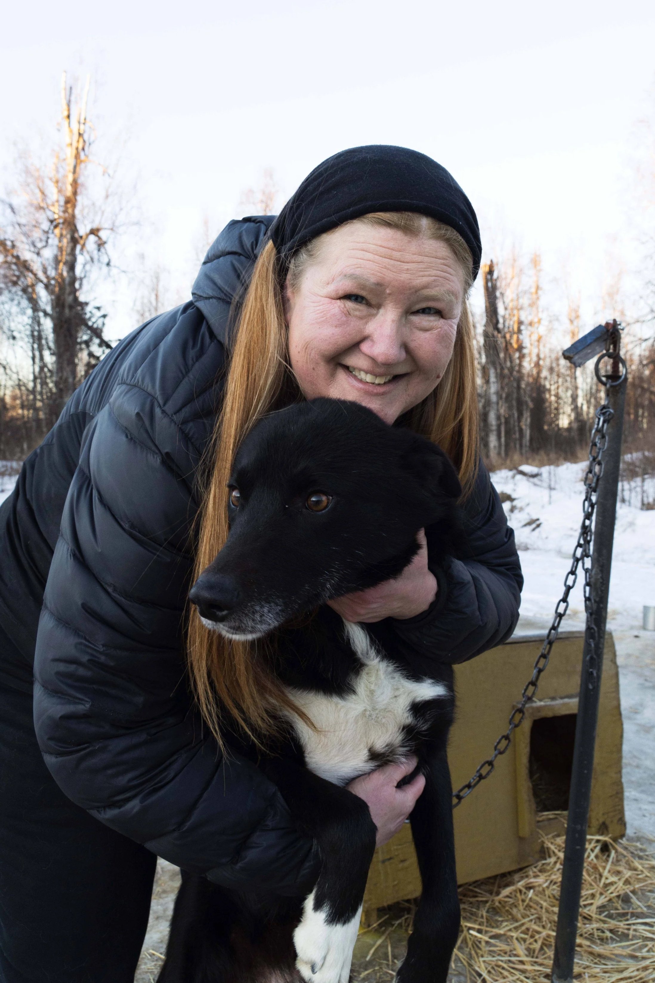 Reiki for Dogs and Other Animals