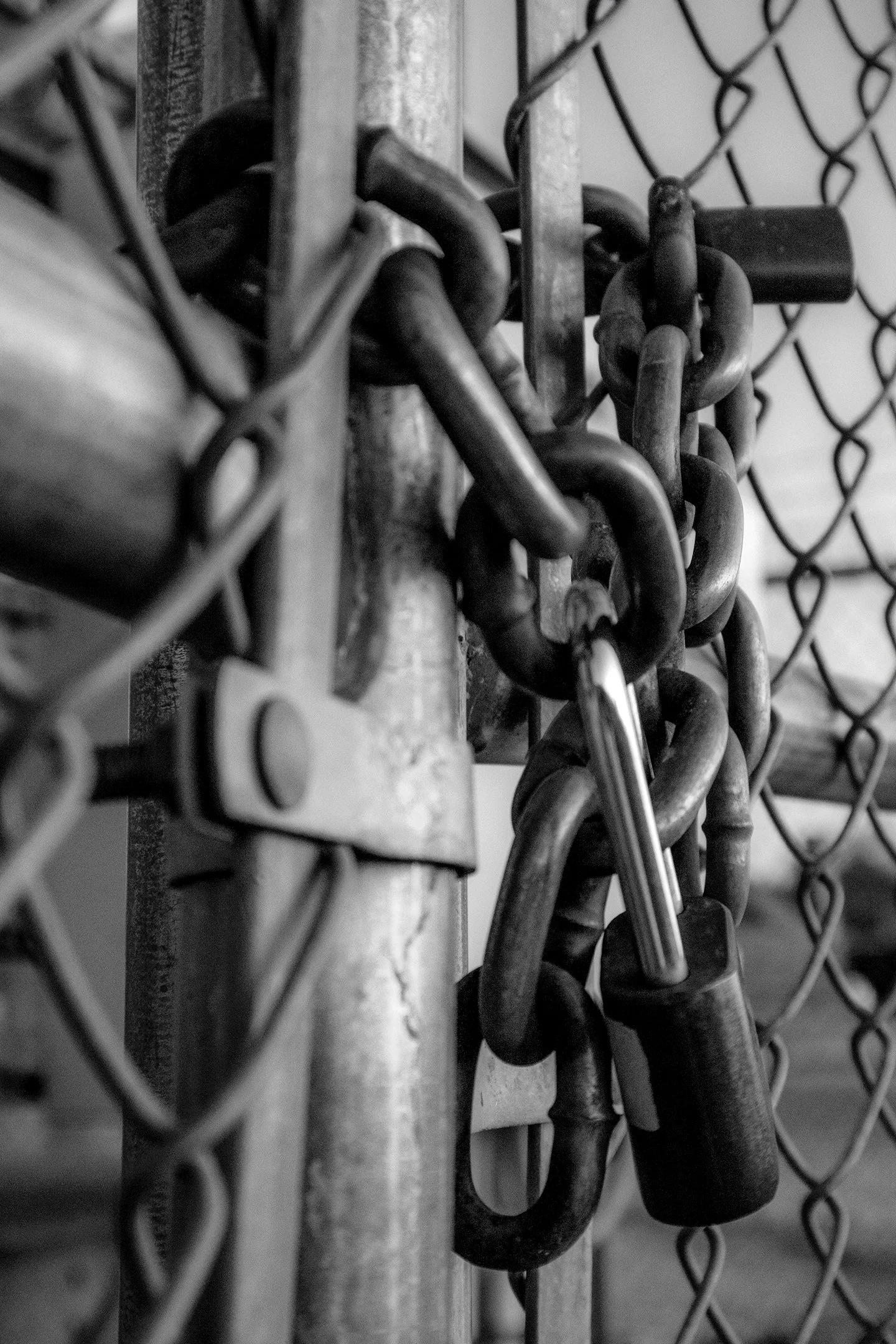 Loureiro_Digital1_BW-002.jpg