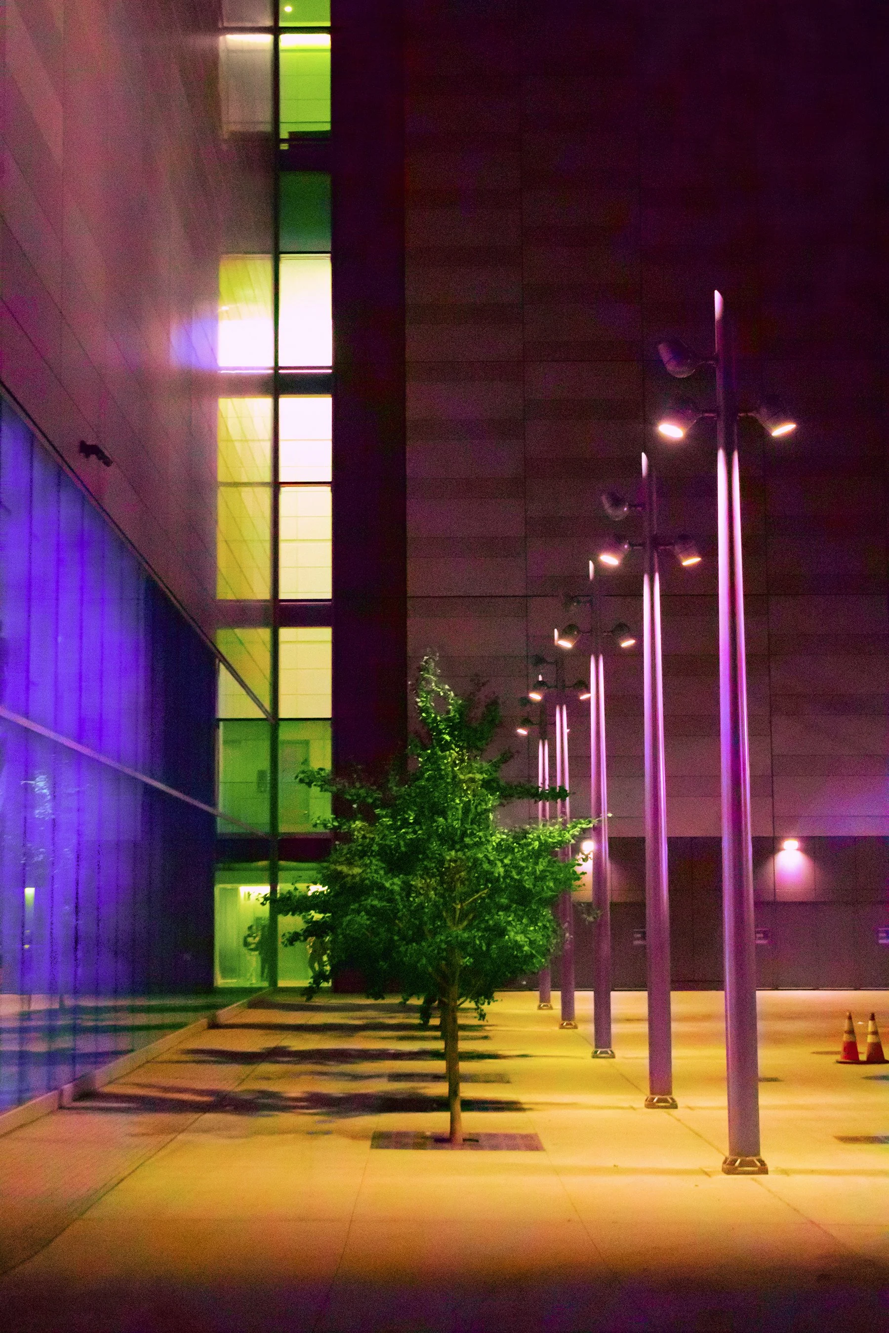 24_Loureiro_Color_ColorSeries_08.jpg