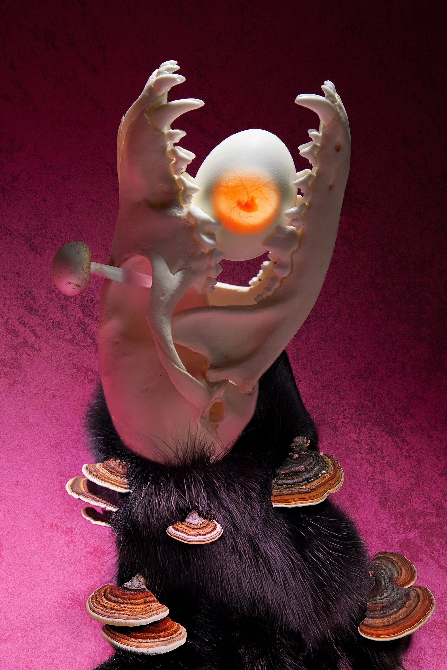 25_Loureiro_Illustrative_Egg-03.jpg