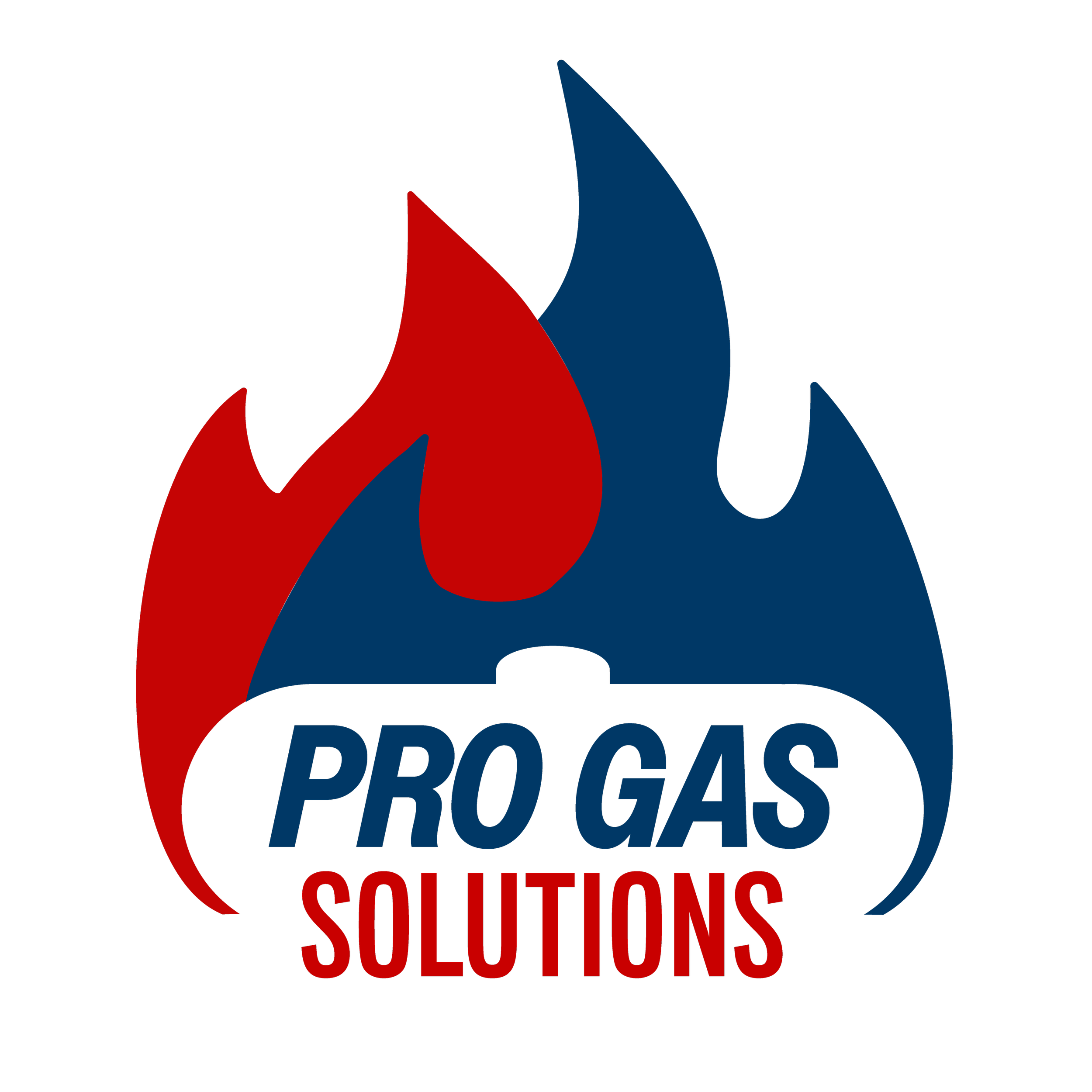Logo of Pro Gas Solutions with a flame graphic in red and blue and the company name in bold lettering.