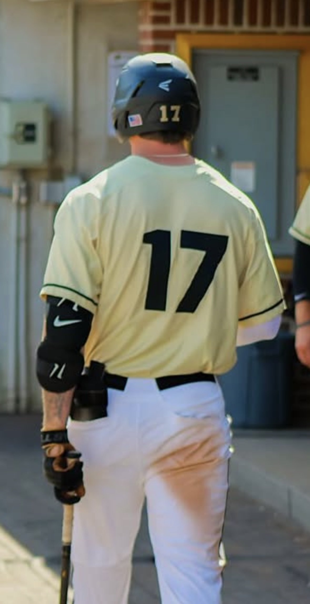 Back view of a baseball player wearing a yellow jersey with the number 17, a black helmet with the number 17, and holding a bat.