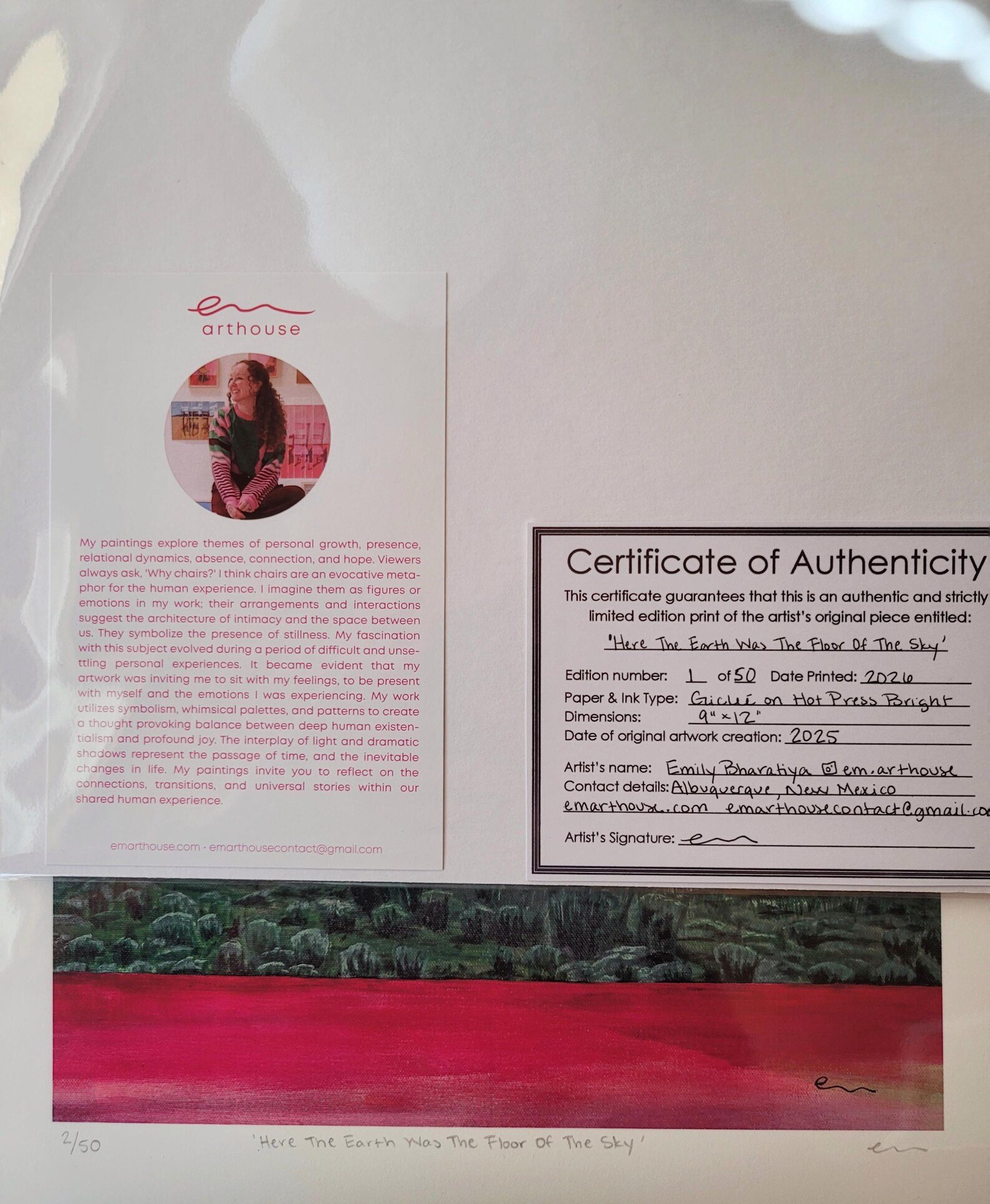 Em Arthouse Certificate of authenticity .jpg