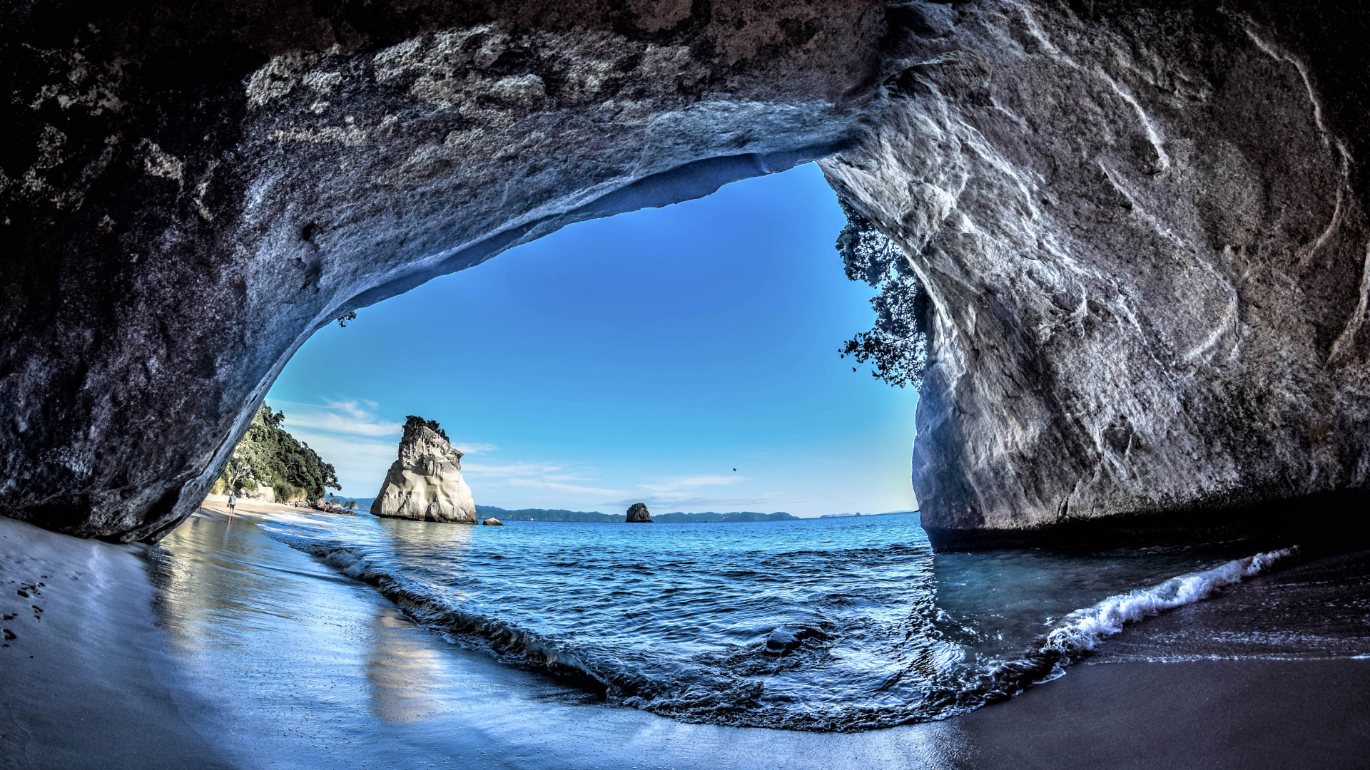 Untitled design (27).png