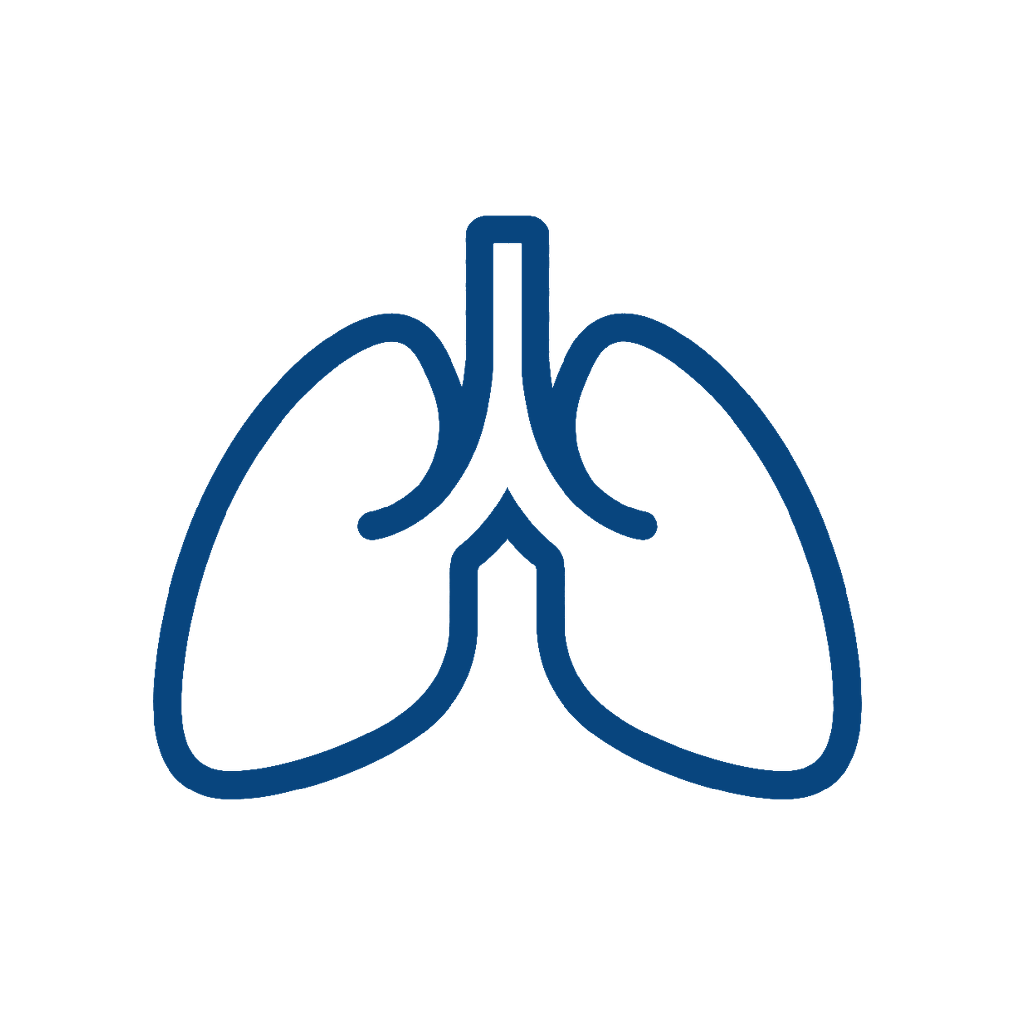 SImple depiction of lungs