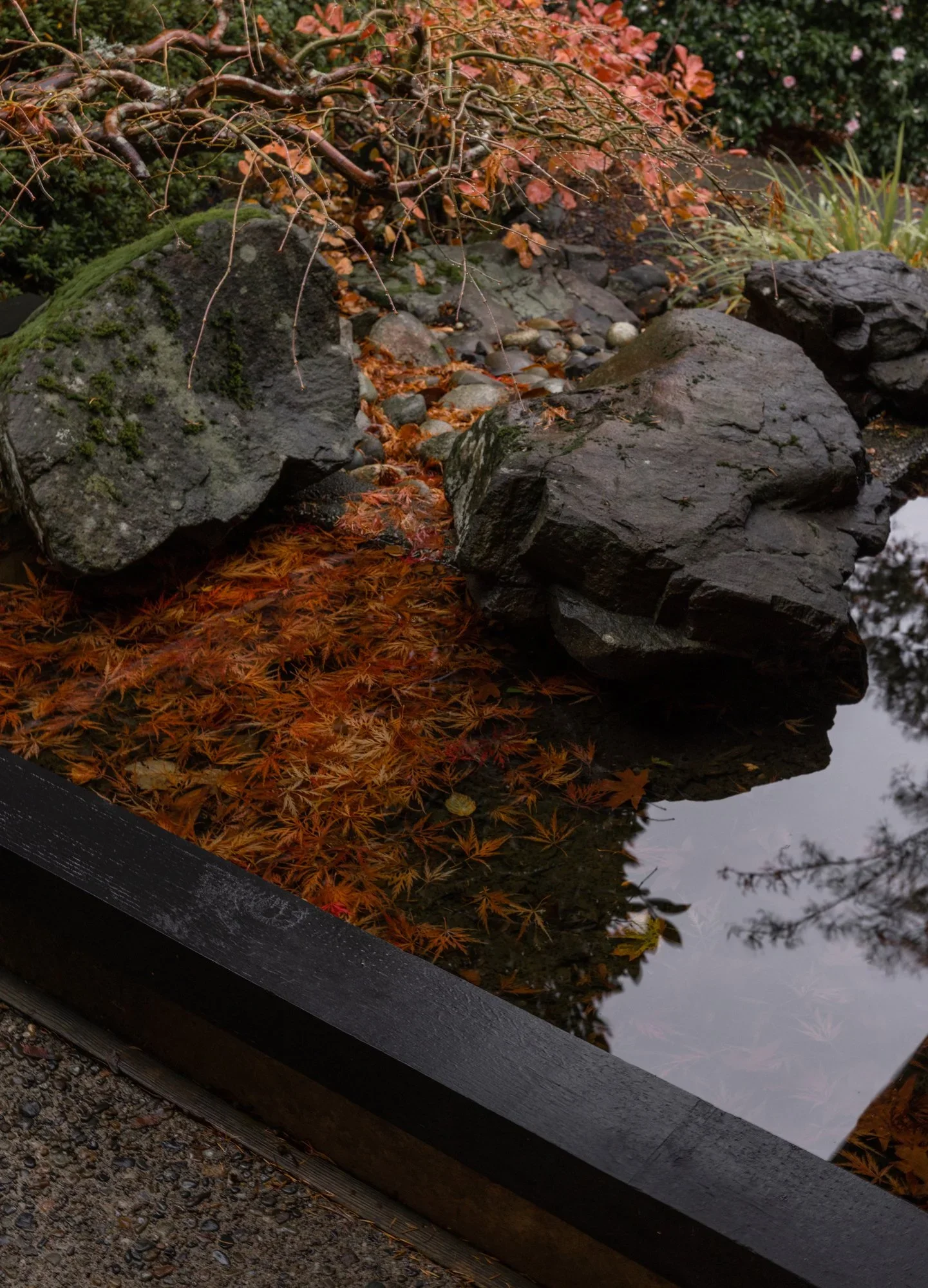 Landscape+Design+pond+moody.webp