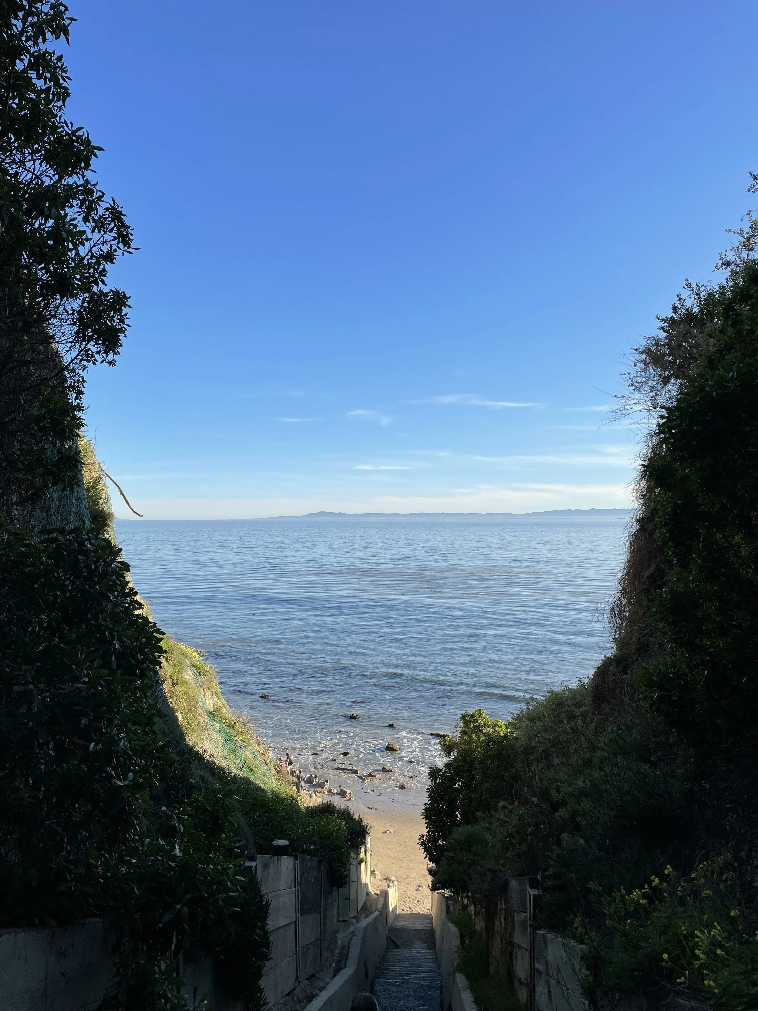 Blonde in Coastal California: What You Need to Know